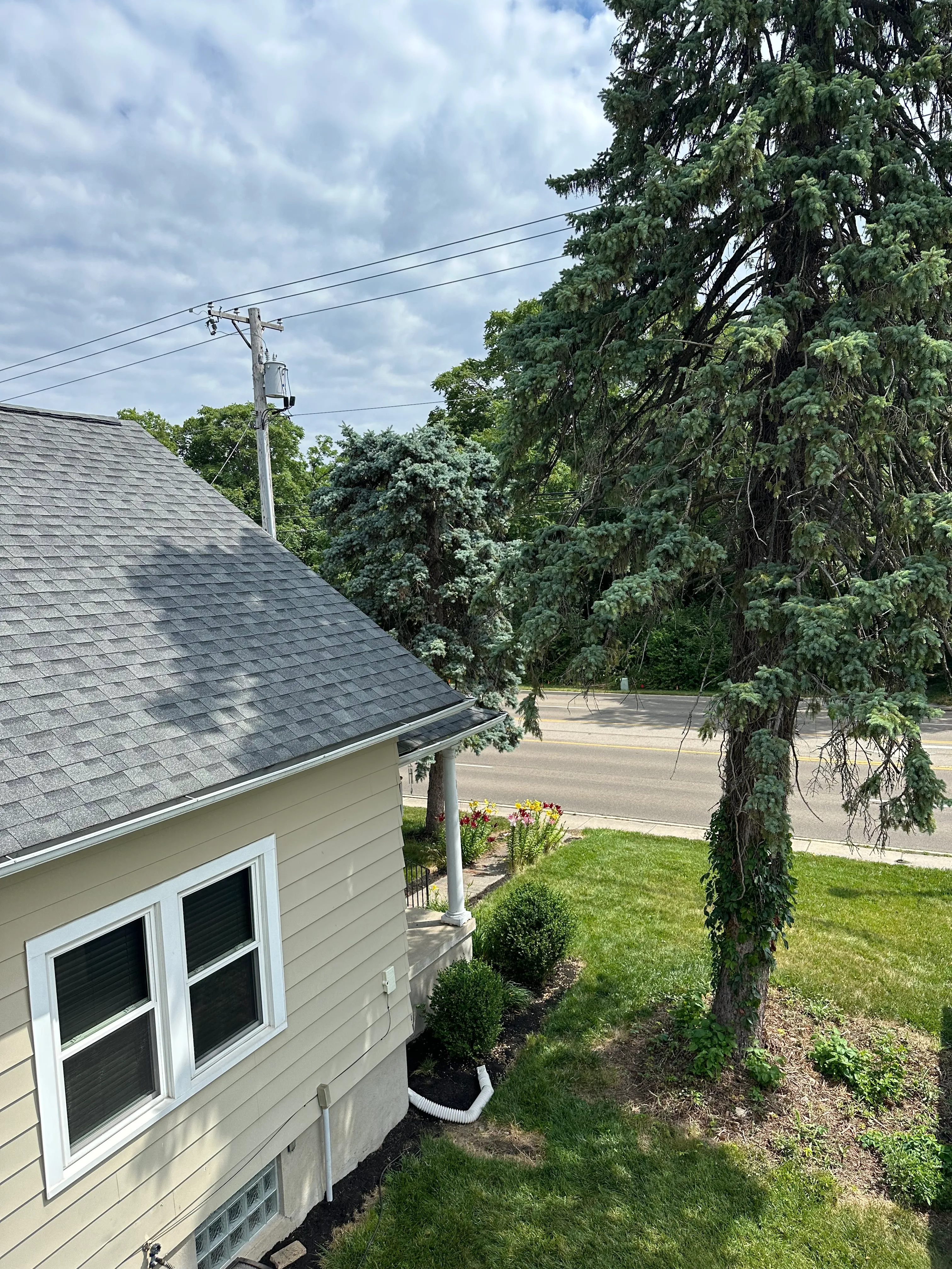 Tree Trimming and Thinning for Pro Tree Trim & Removal, Llc in Dayton, OH