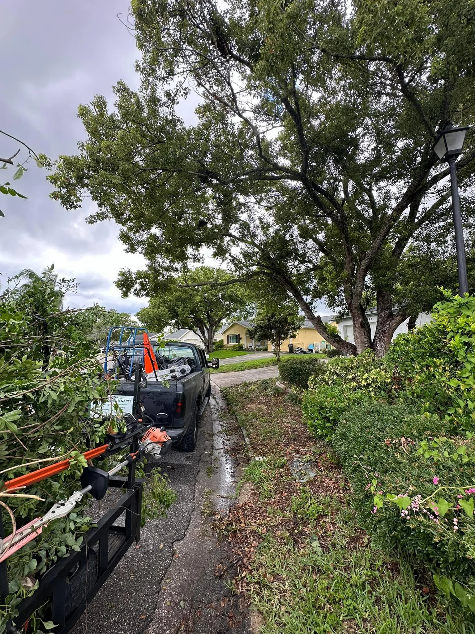 Fall and Spring Clean Up for Kramer & Son’s Property Maintenance in Hudson, FL