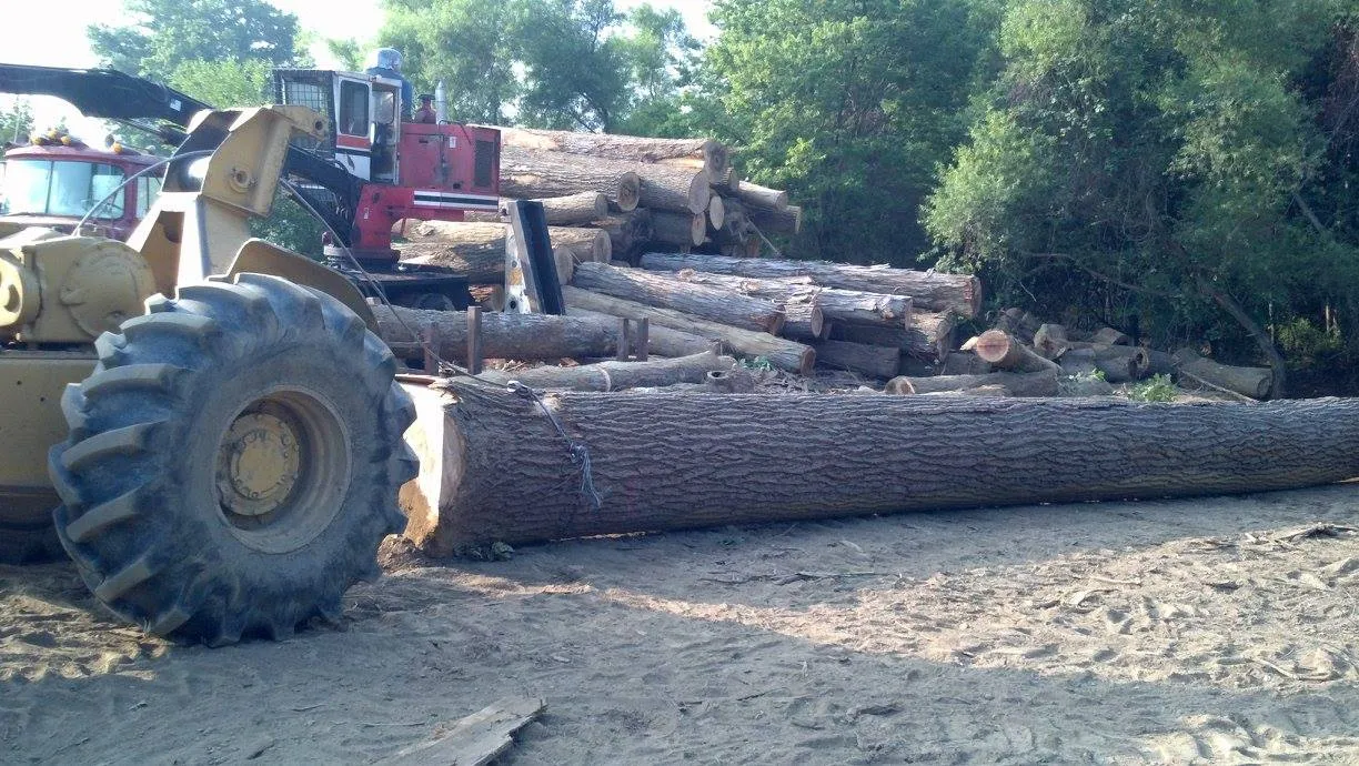 Logging for Bennett Logging in Gosport, Indiana
