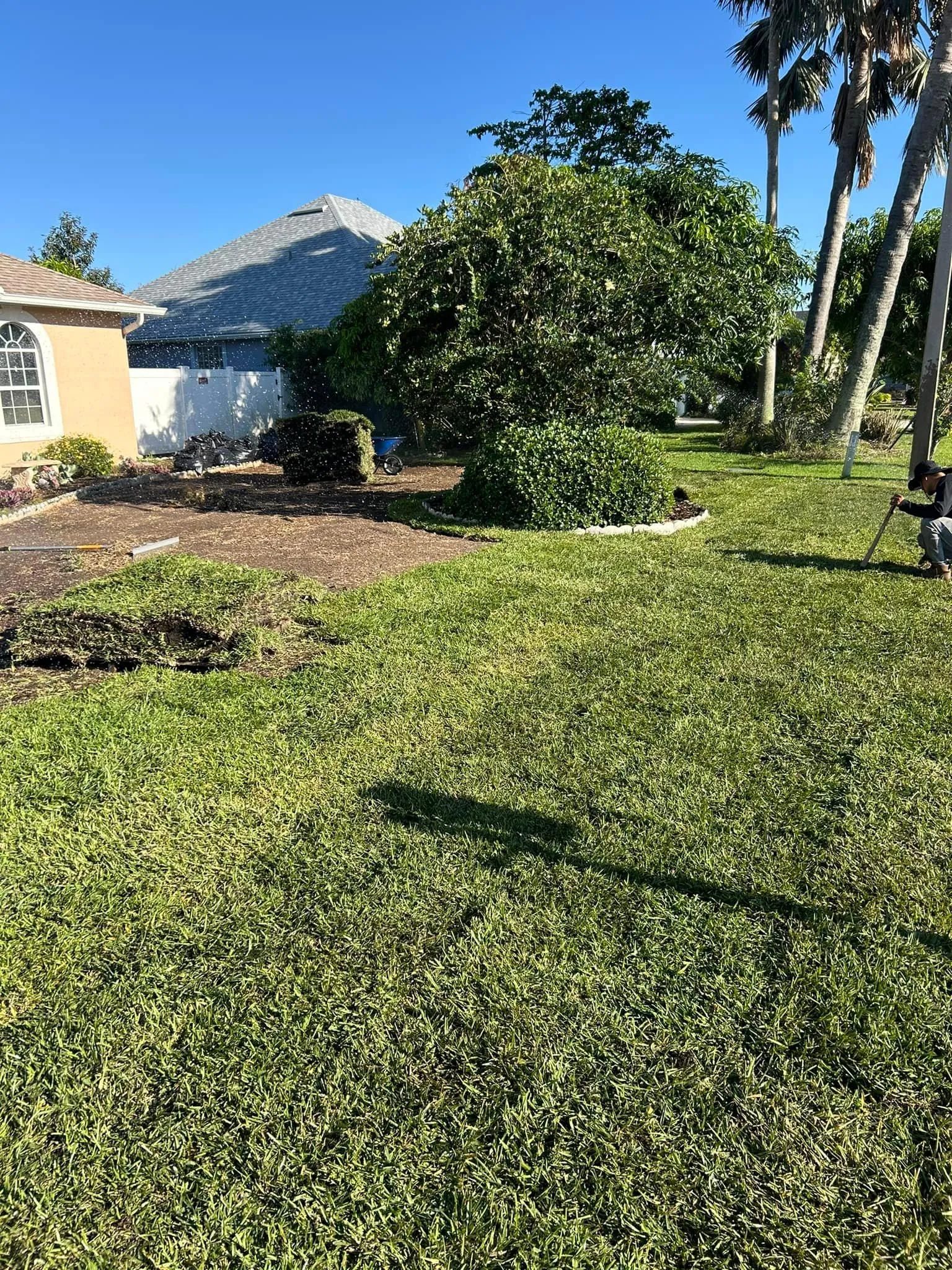 Fall and Spring Clean Up for Estrada All Pro Lawn Service in Auburndale, Florida