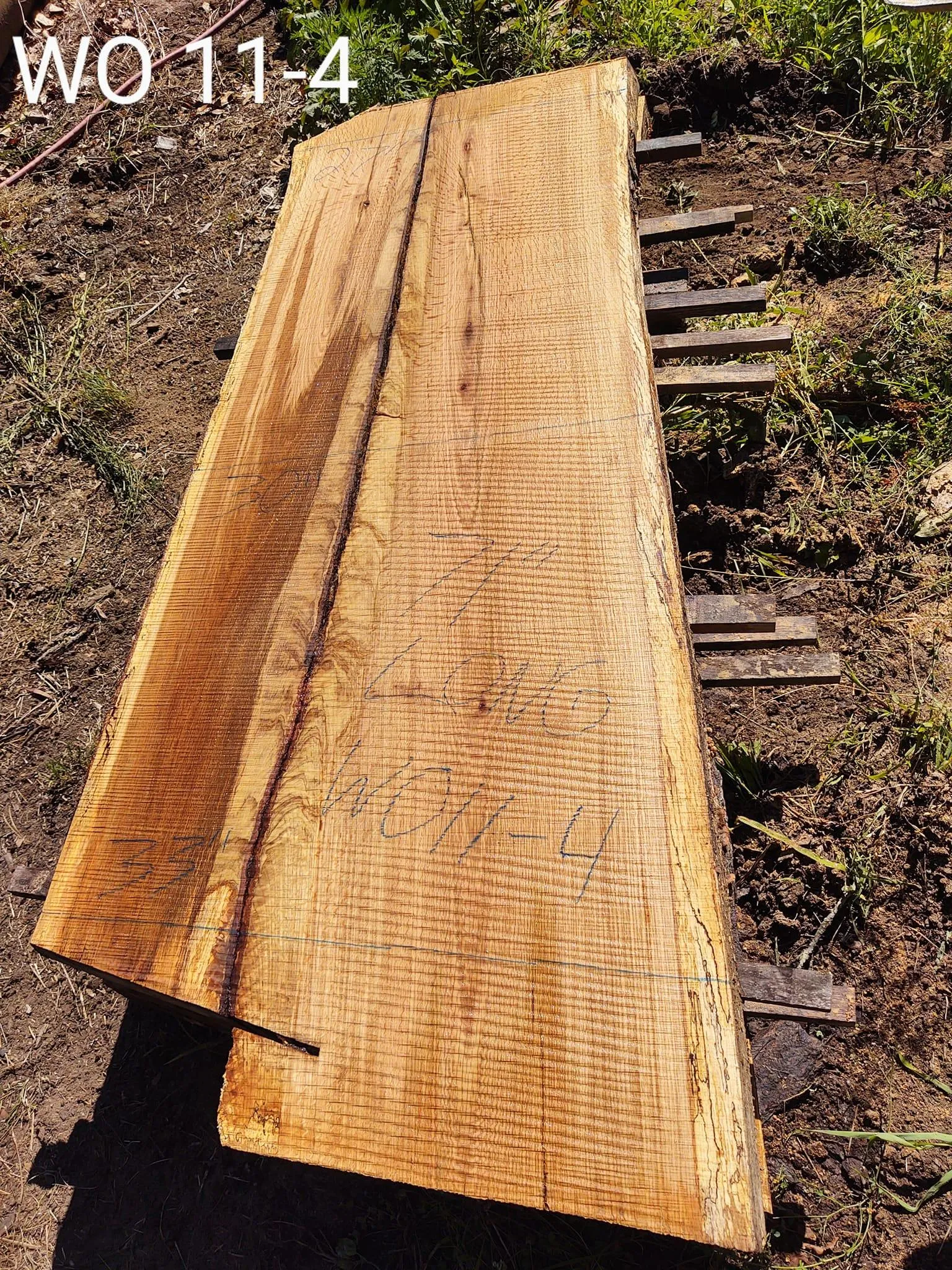 Logging for Bennett Logging in Gosport, Indiana