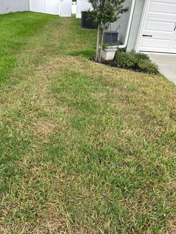 Fall and Spring Clean Up for Estrada All Pro Lawn Service in Auburndale, Florida