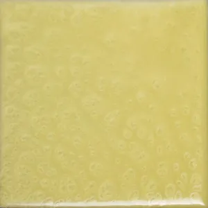 Lemon Yellow at Floorworx in Westchester County, NY