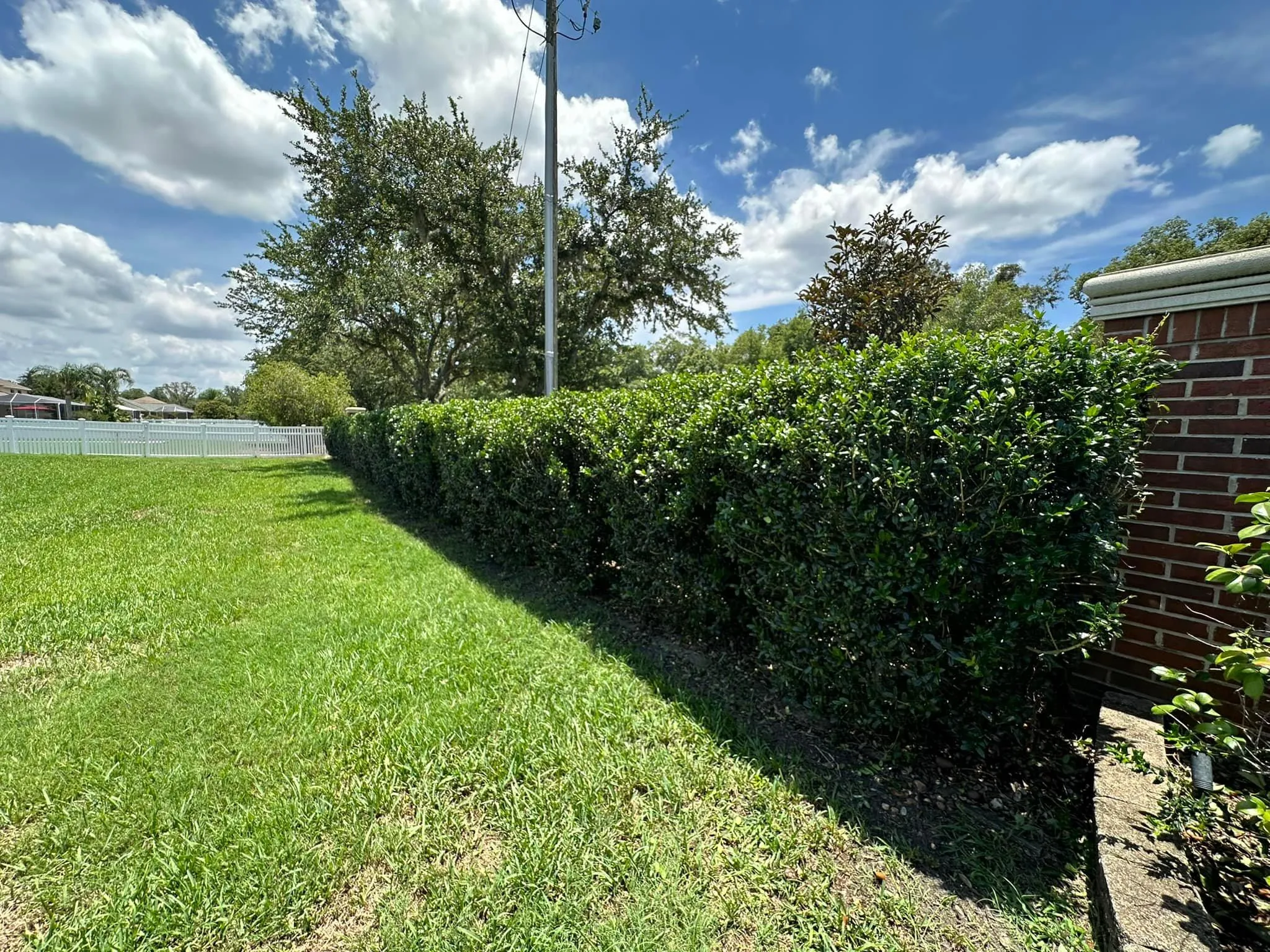 Fall and Spring Clean Up for Kramer & Son’s Property Maintenance in Hudson, FL