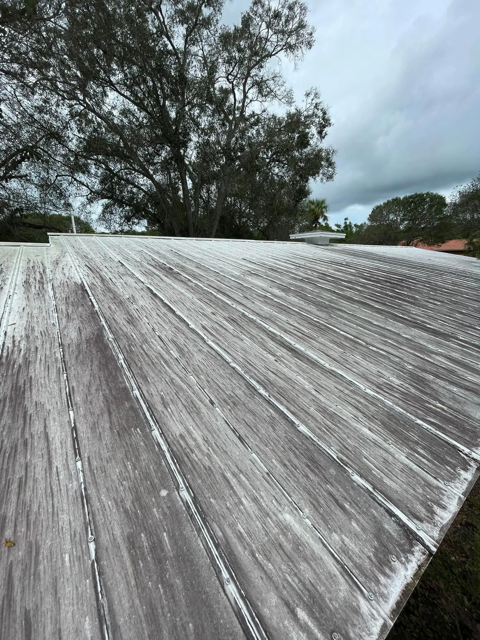 Home Softwash for C & C Pressure Washing in Port Saint Lucie, FL