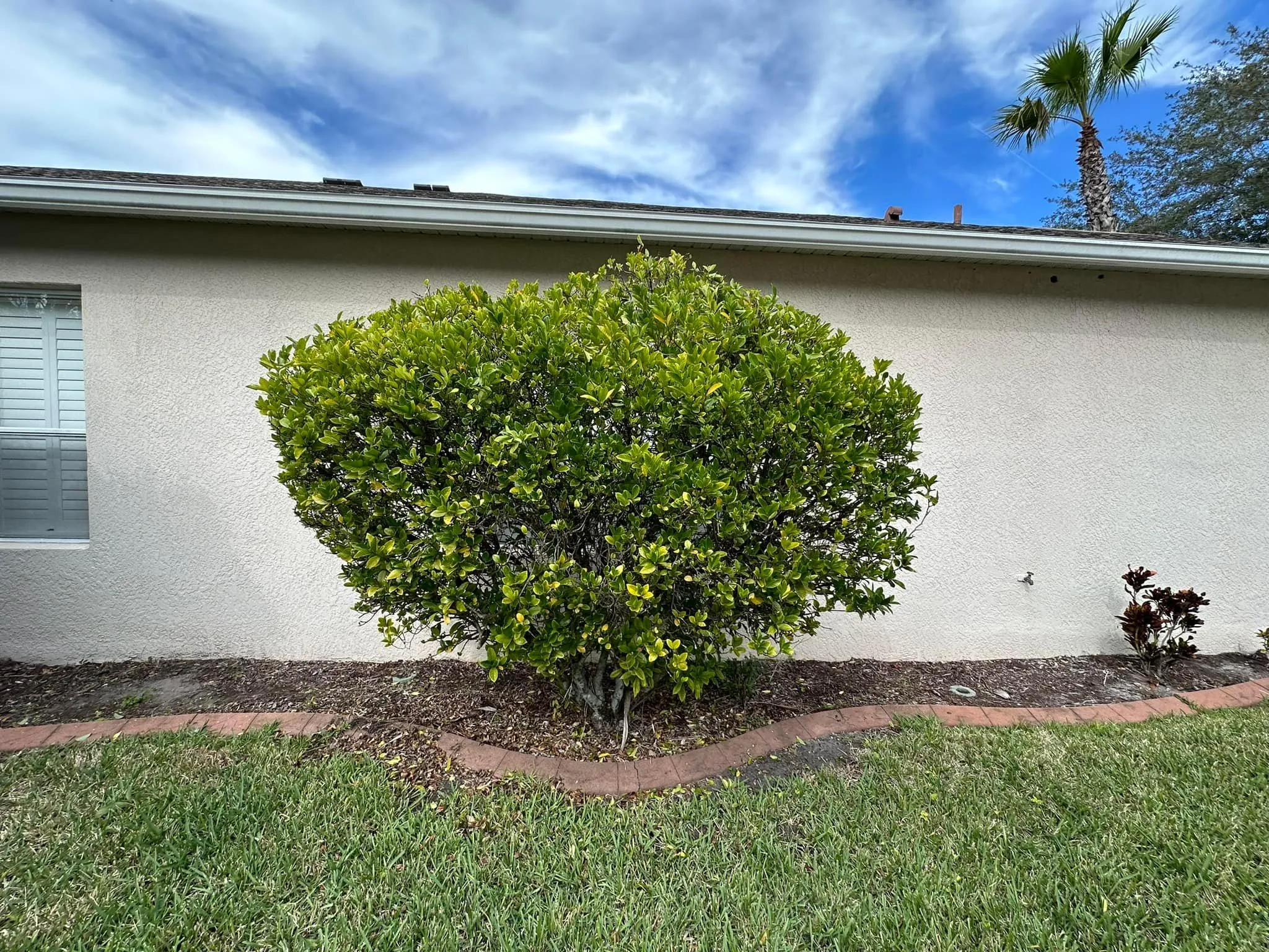 Fall and Spring Clean Up for Kramer & Son’s Property Maintenance in Hudson, FL