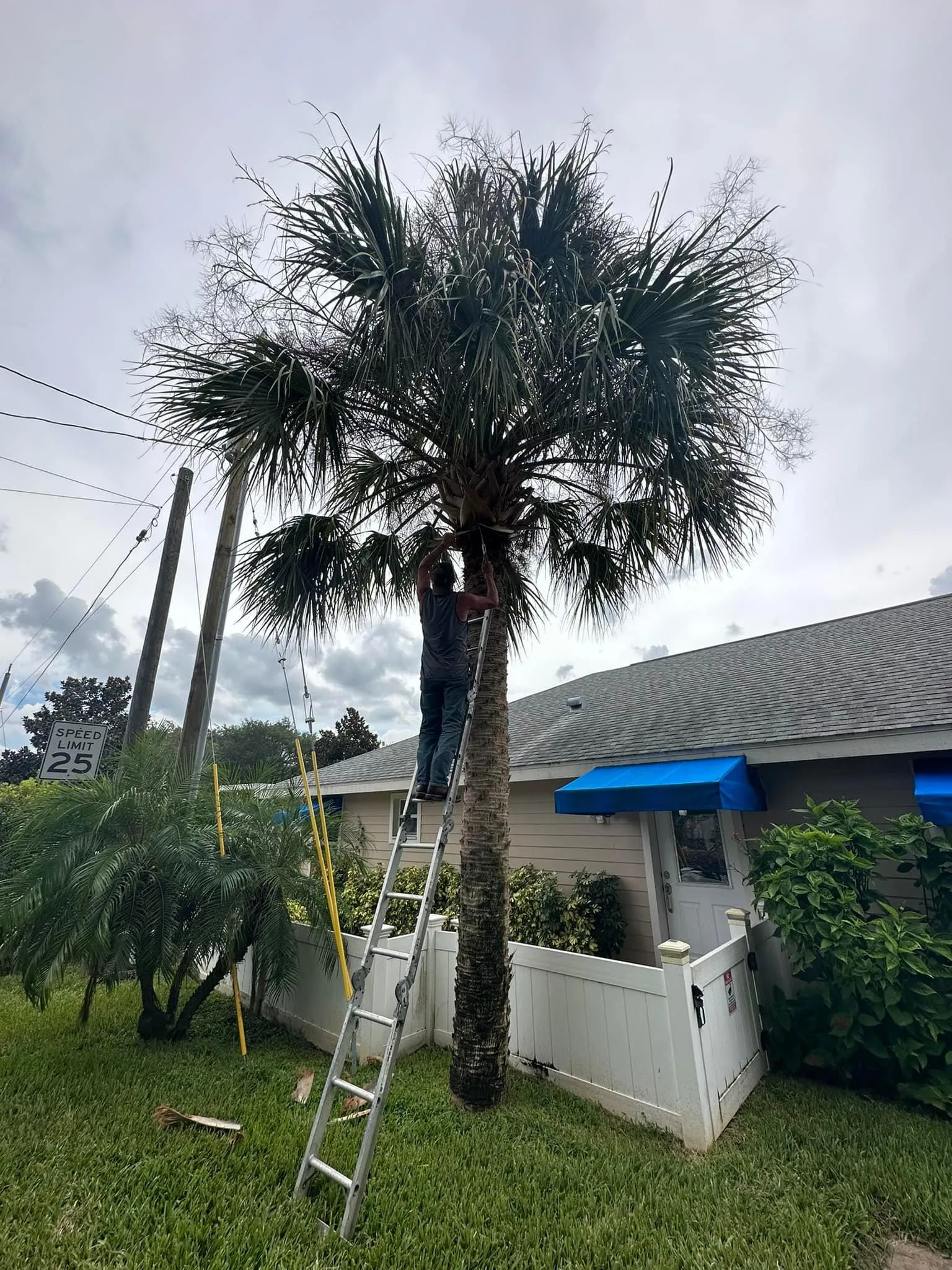 Fall and Spring Clean Up for Kramer & Son’s Property Maintenance in Hudson, FL