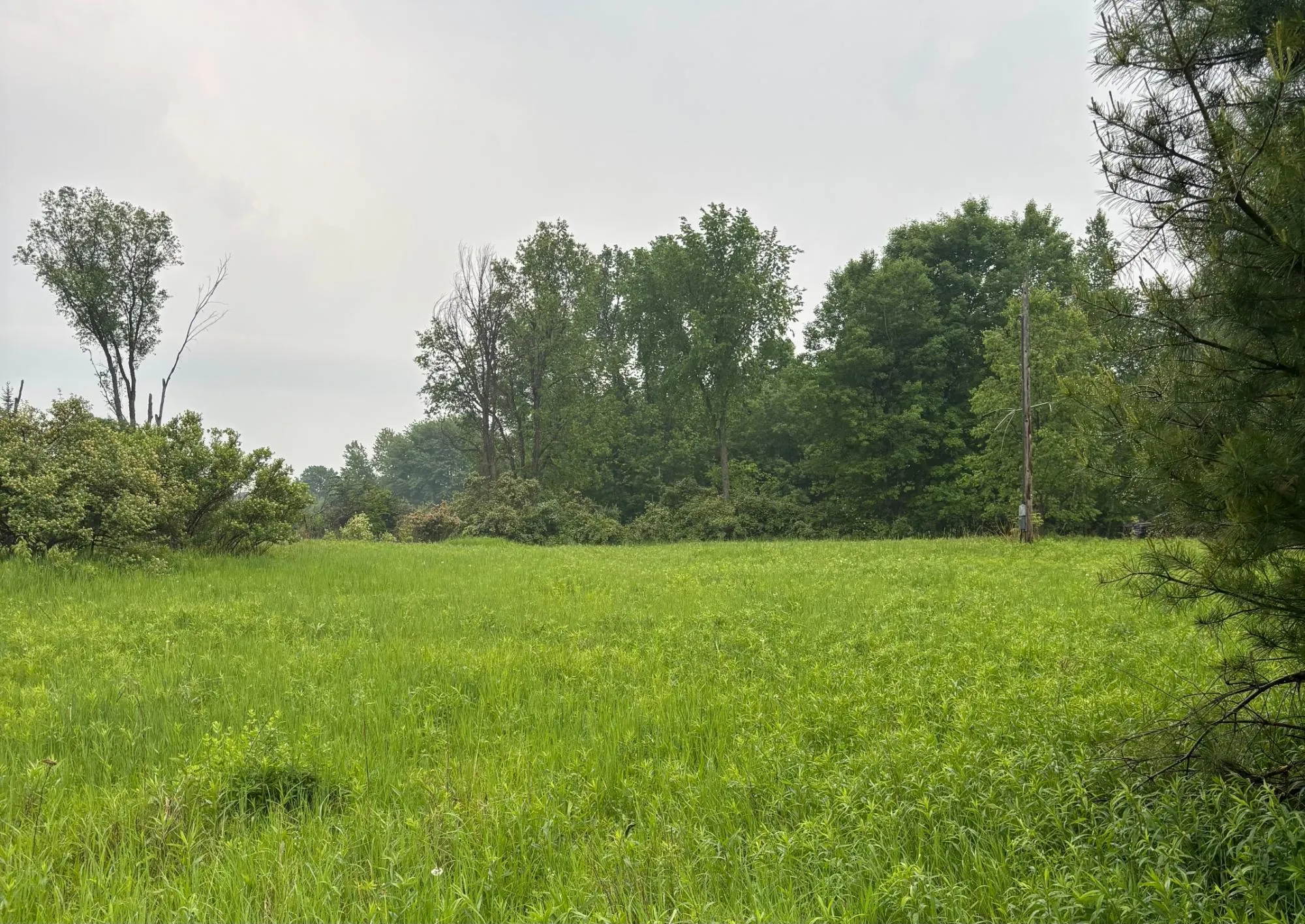 Lot Valley Rd  at Emma Praslowicz Century 21 Best Way Realty in Tomahawk, WI