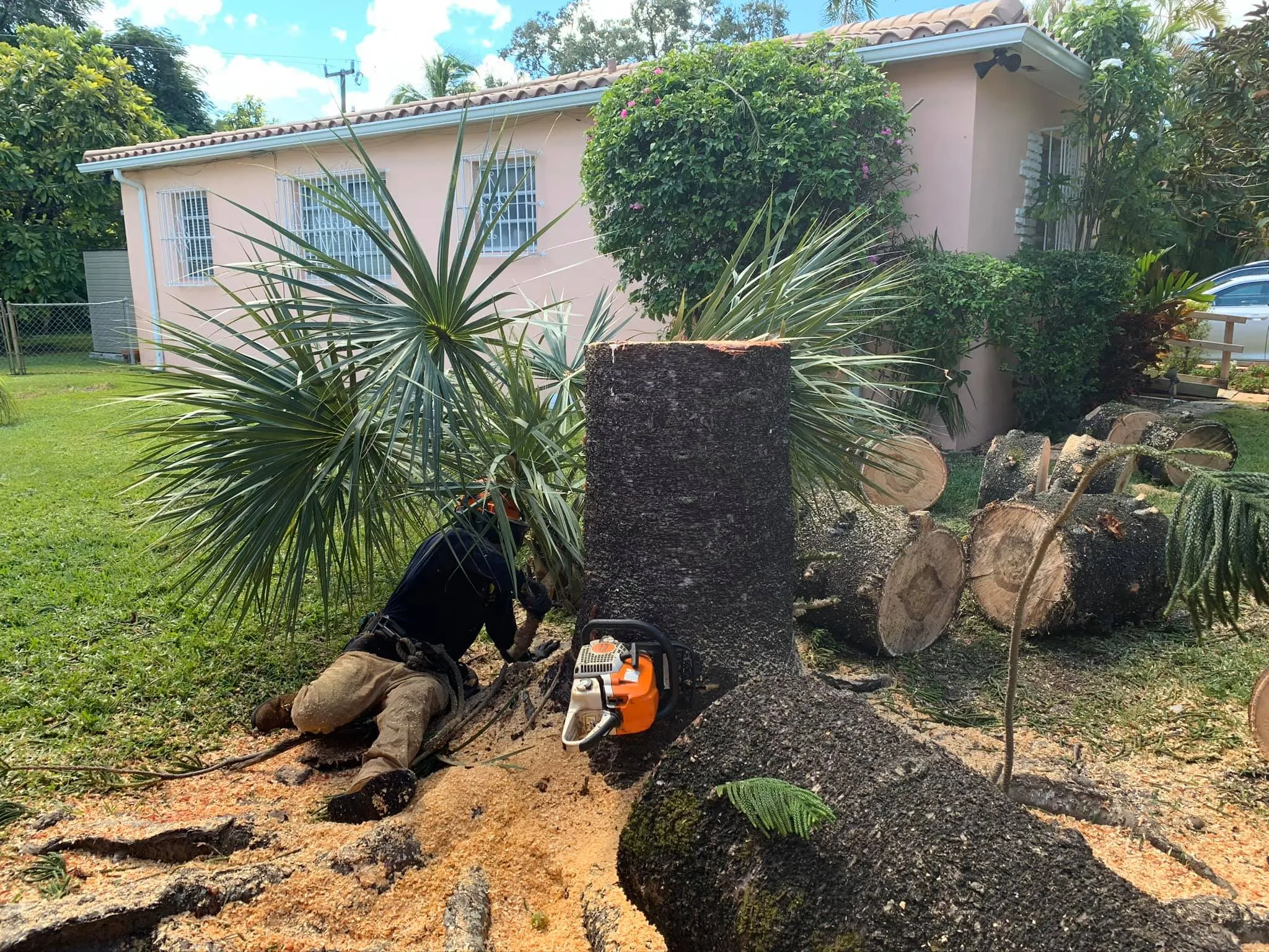 Tree Trimming for Sam's Tree Service in Miami Beach,  FL