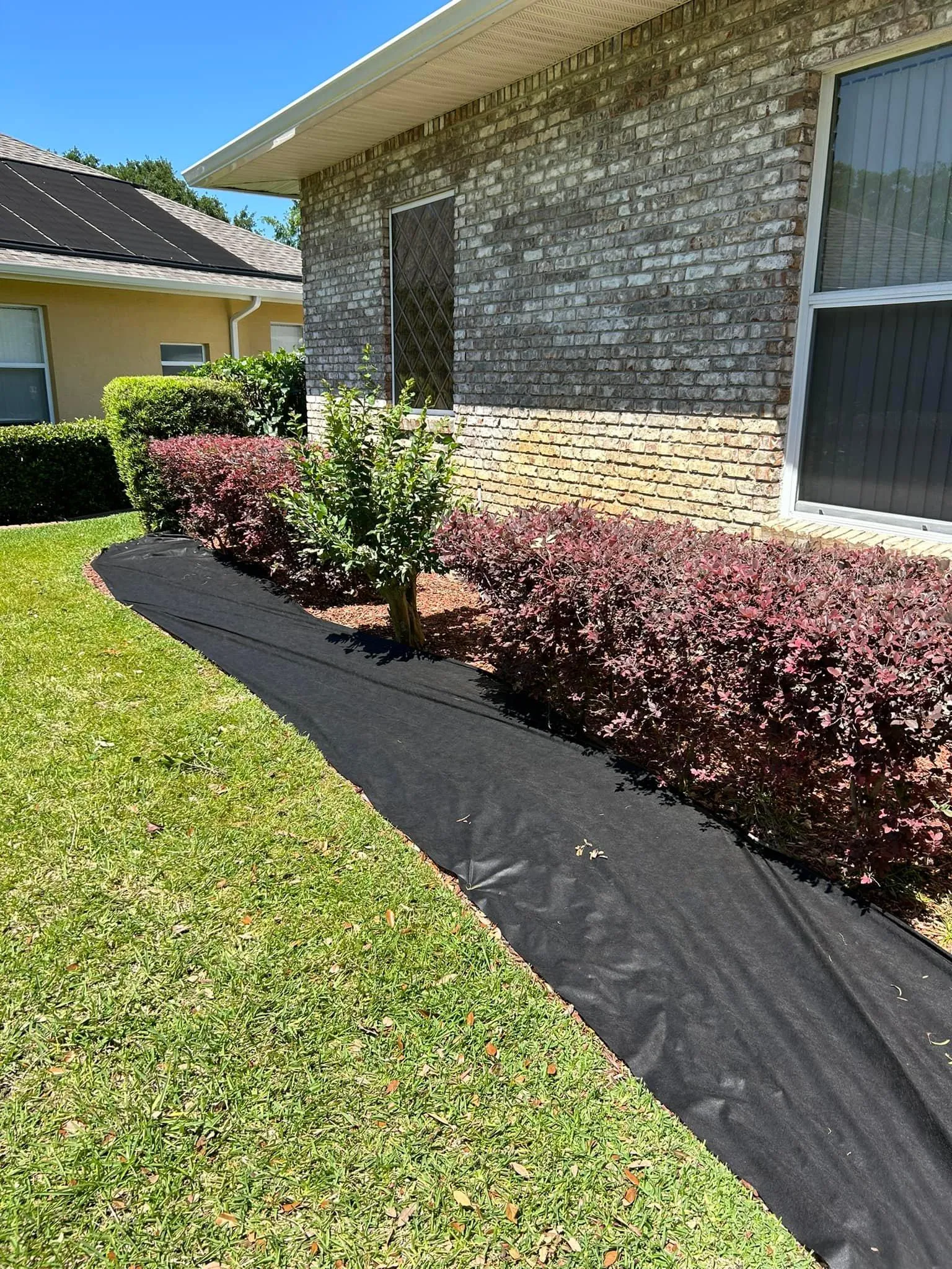 Fall and Spring Clean Up for Estrada All Pro Lawn Service in Auburndale, Florida