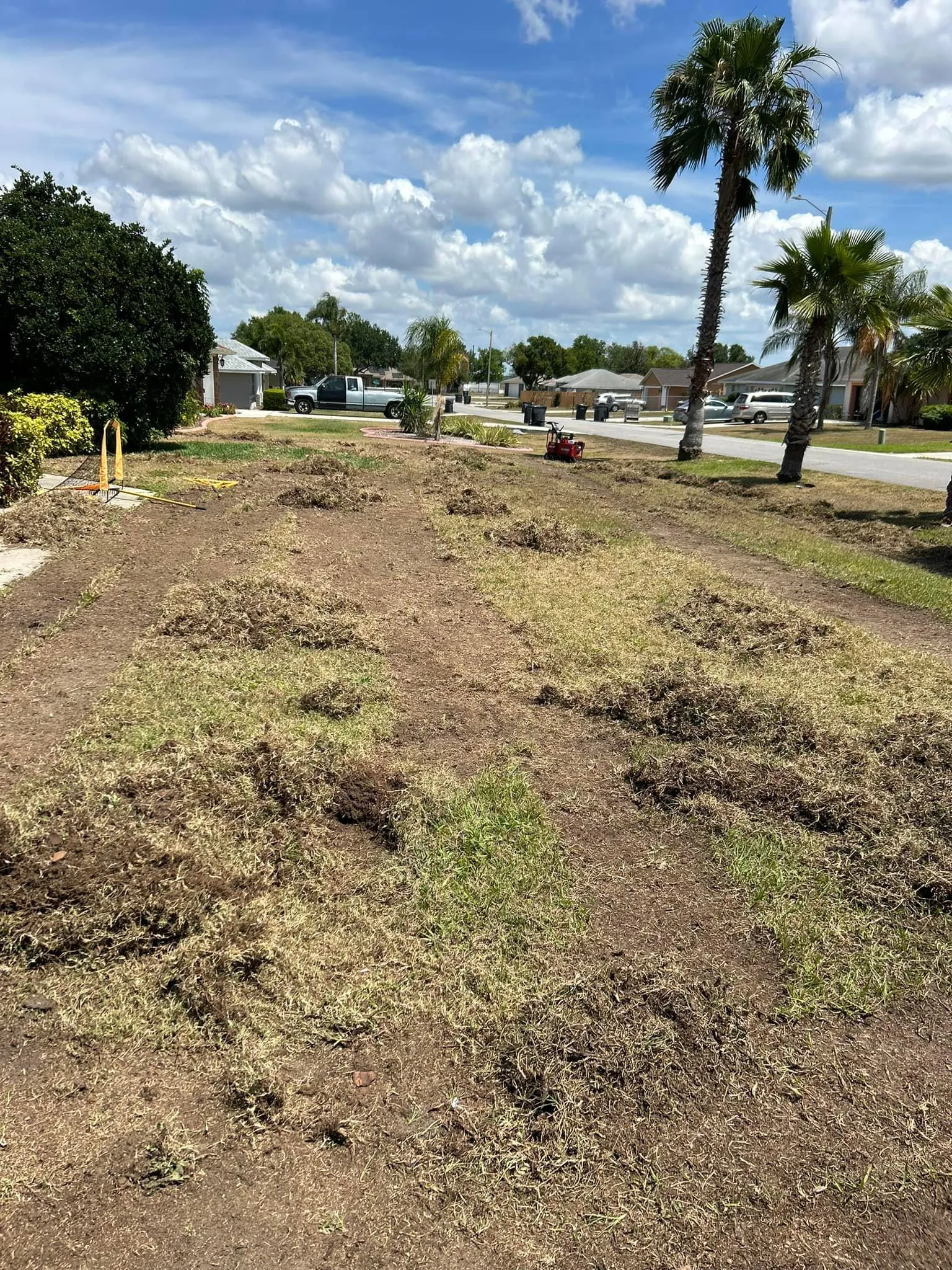 Fall and Spring Clean Up for Estrada All Pro Lawn Service in Auburndale, Florida