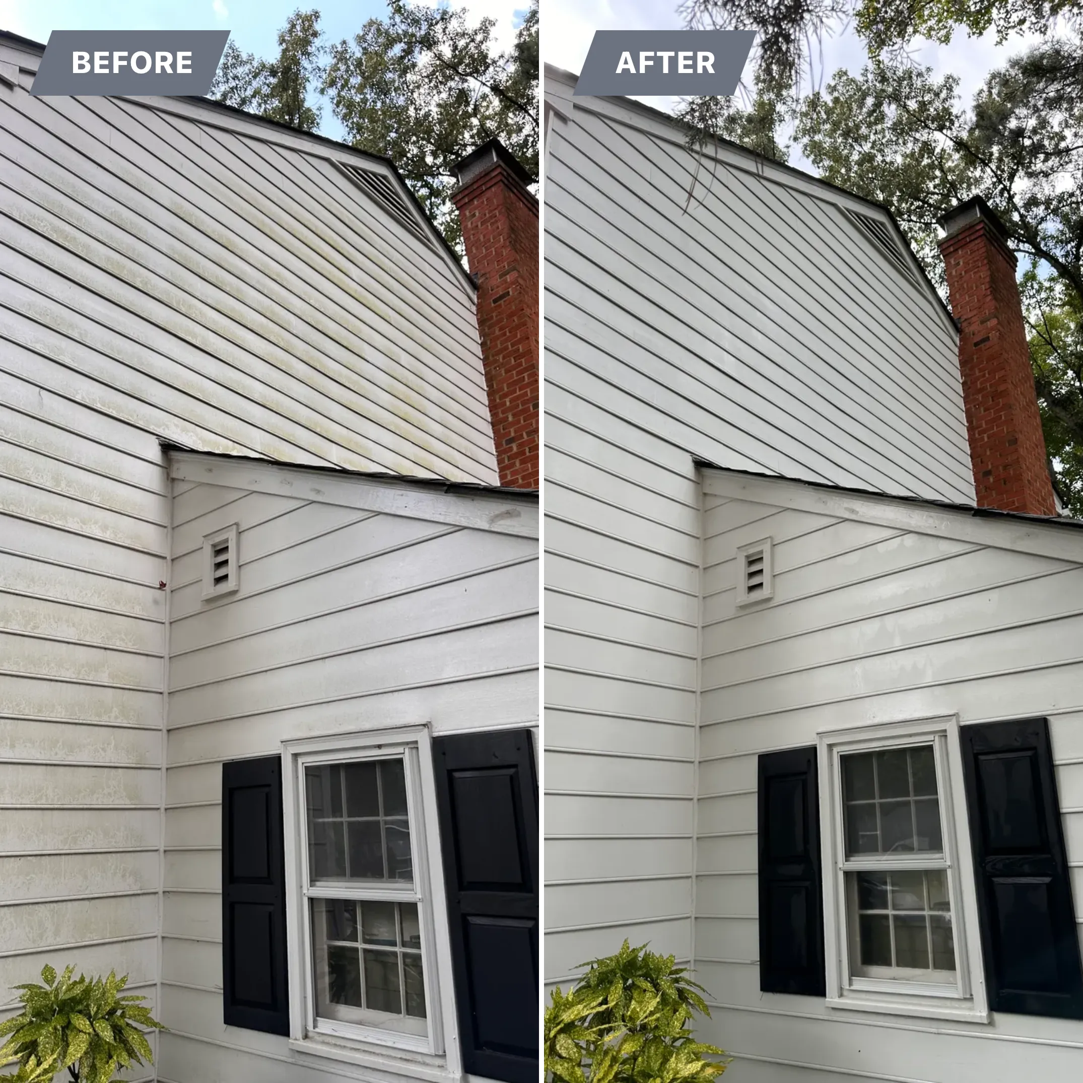 Home Soft Wash for LeafTide Solutions in Richmond, VA