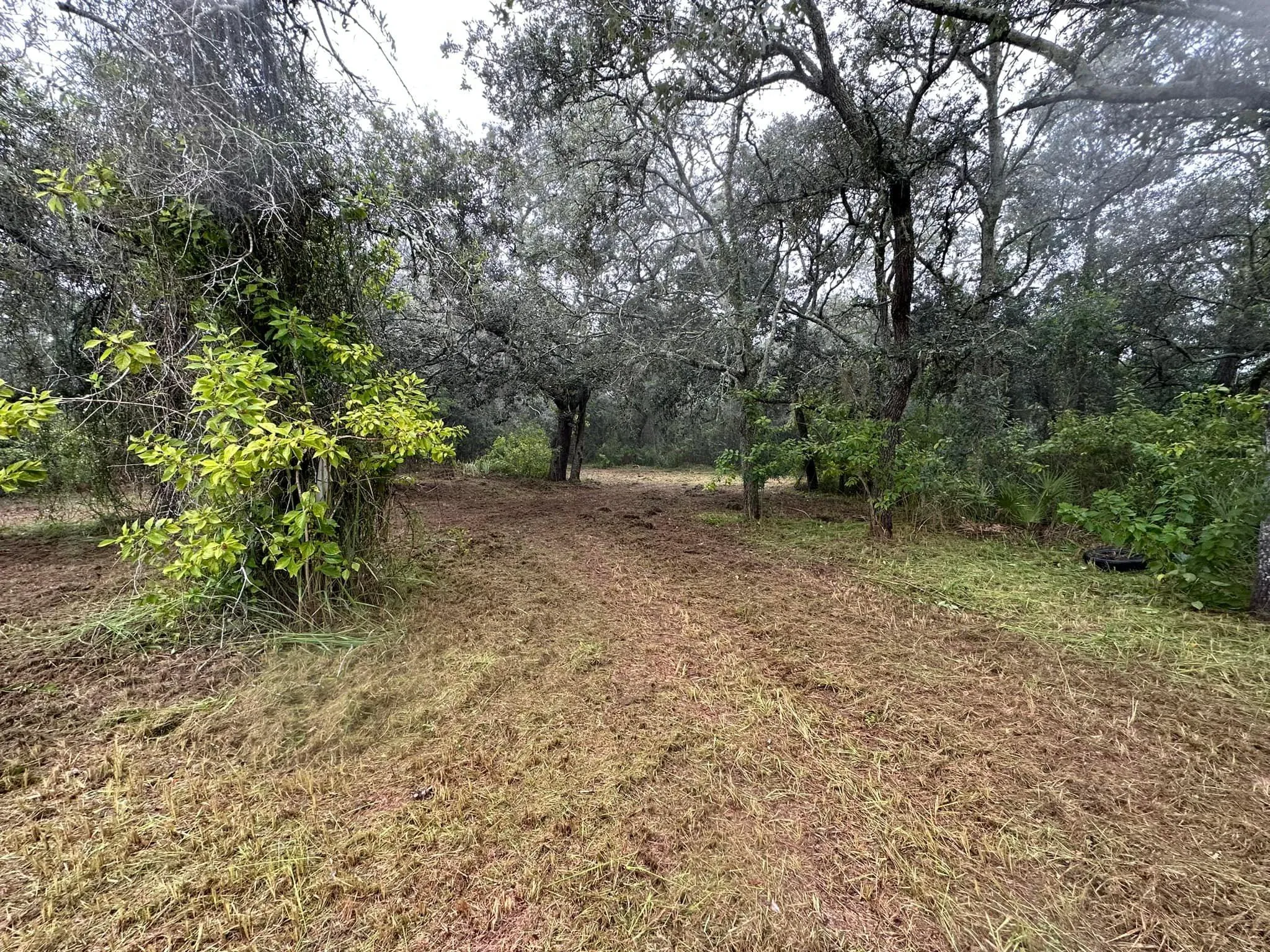 Fall and Spring Clean Up for Kramer & Son’s Property Maintenance in Hudson, FL