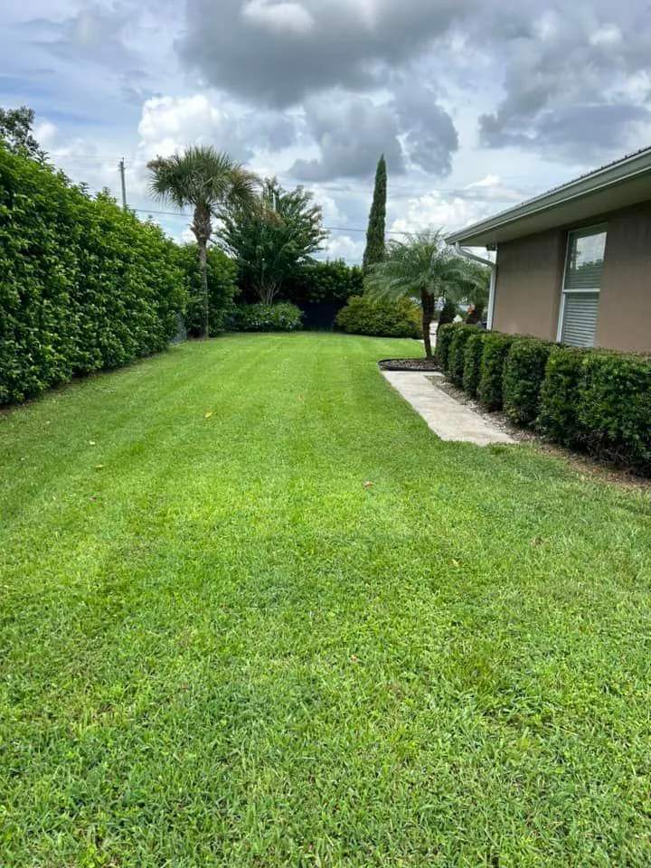 Fall and Spring Clean Up for Estrada All Pro Lawn Service in Auburndale, Florida