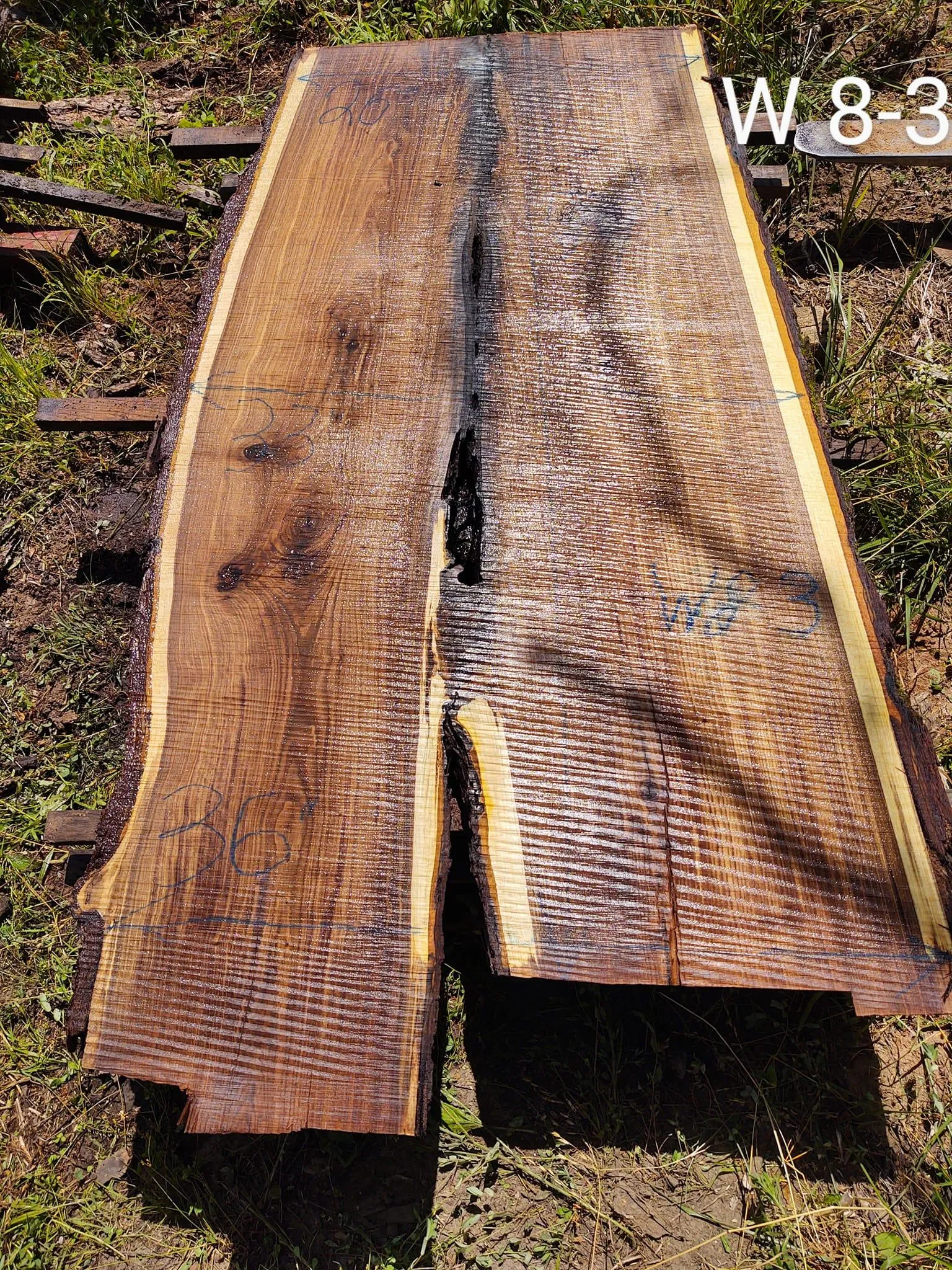 Logging for Bennett Logging in Gosport, Indiana