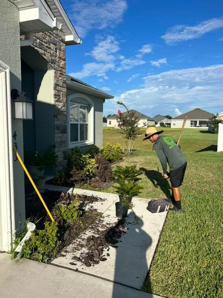 Fall and Spring Clean Up for Estrada All Pro Lawn Service in Auburndale, Florida