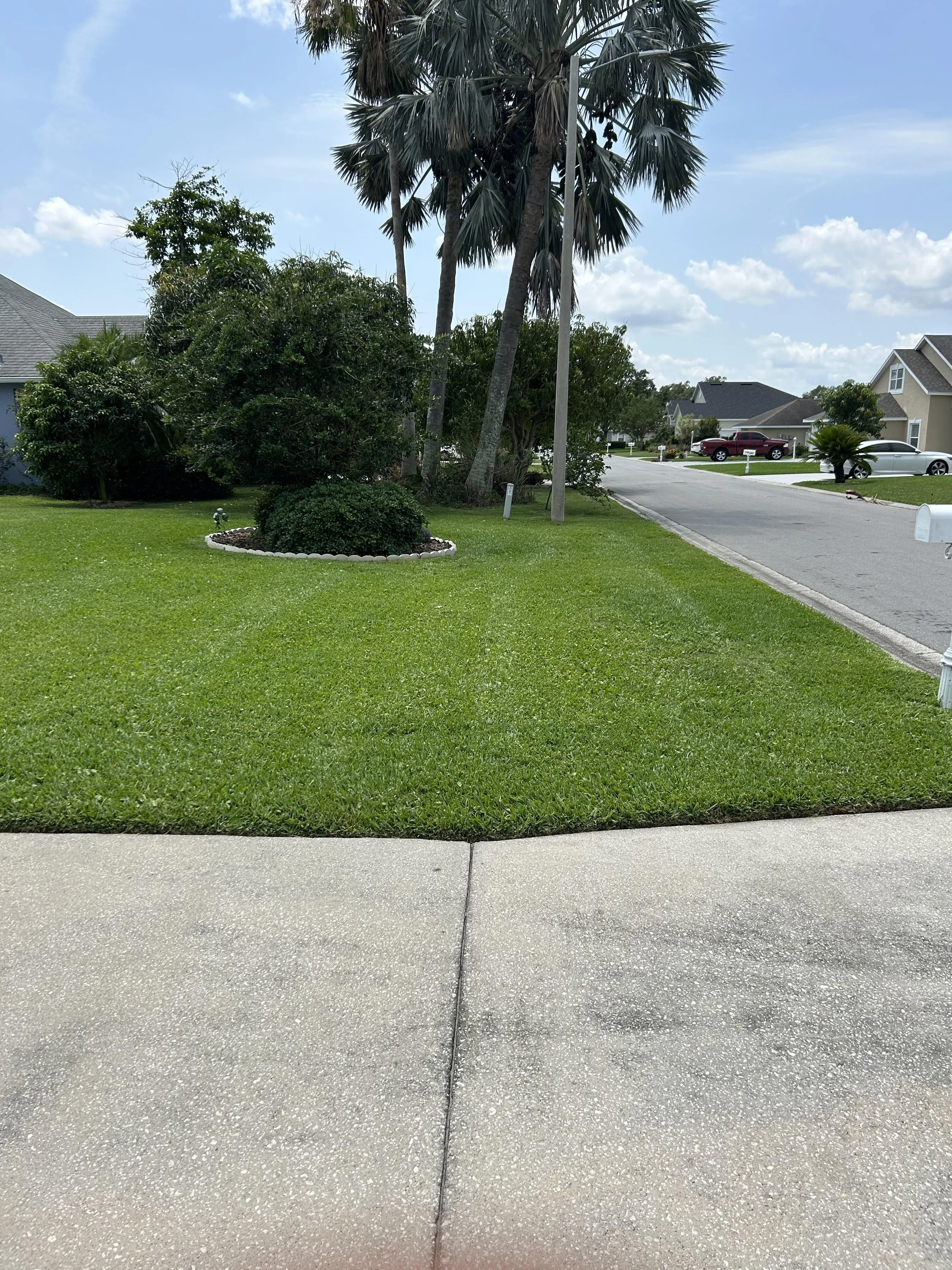 Fall and Spring Clean Up for Estrada All Pro Lawn Service in Auburndale, Florida