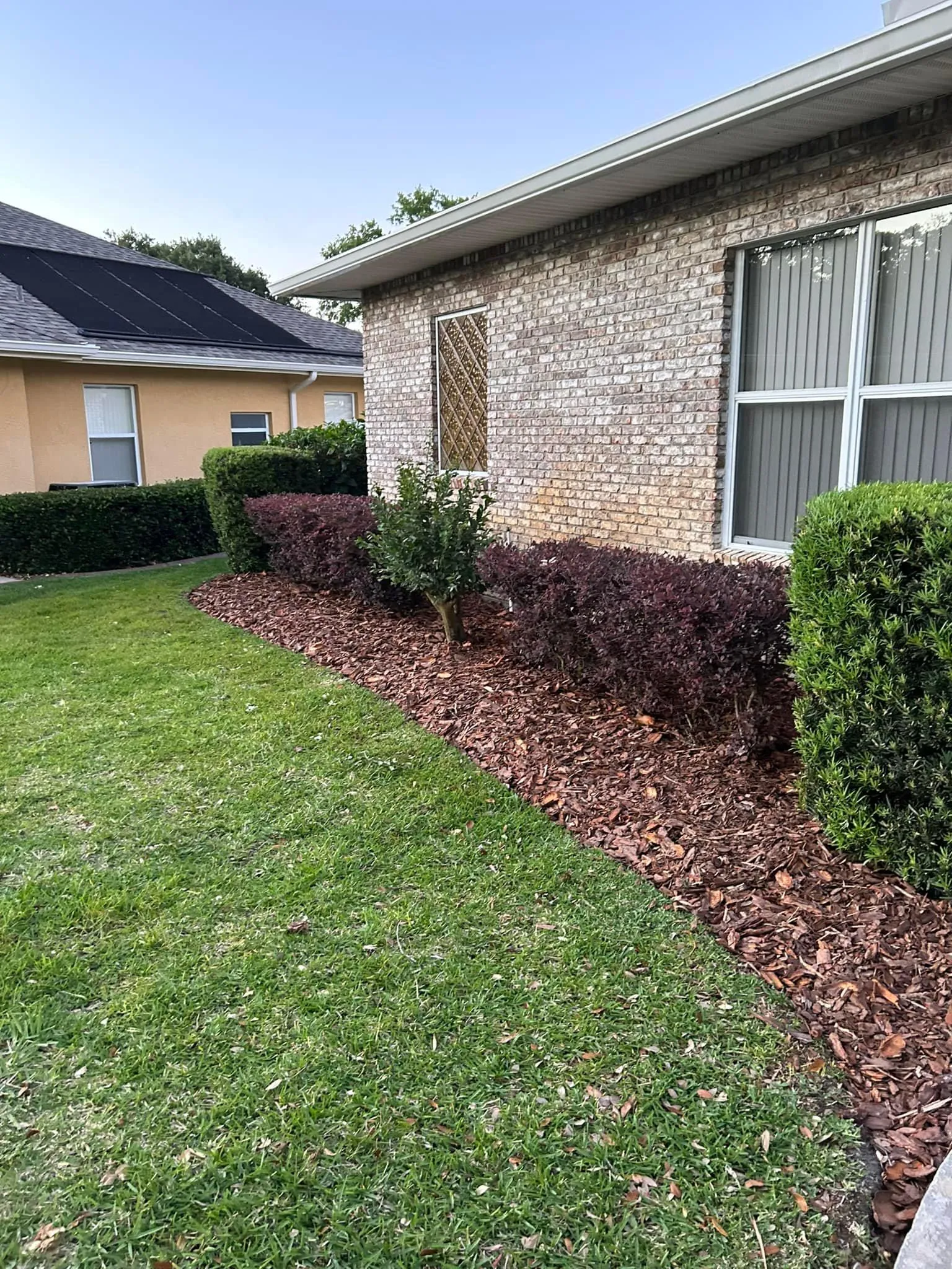 Fall and Spring Clean Up for Estrada All Pro Lawn Service in Auburndale, Florida