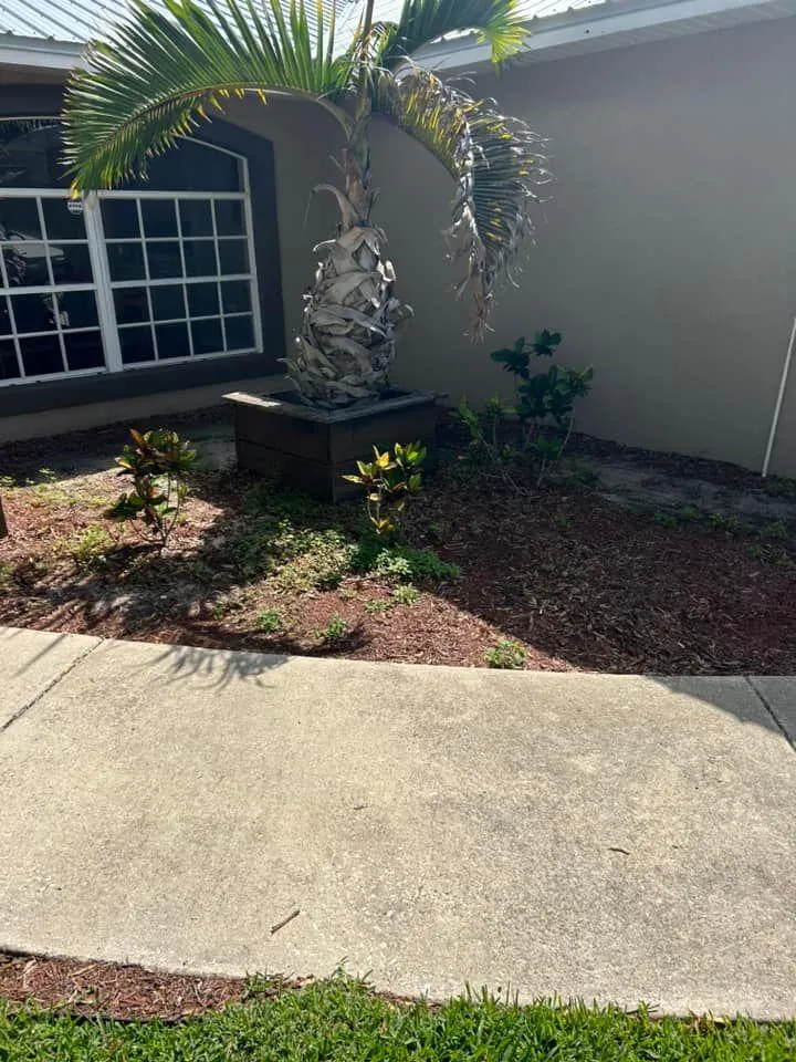 Fall and Spring Clean Up for Estrada All Pro Lawn Service in Auburndale, Florida