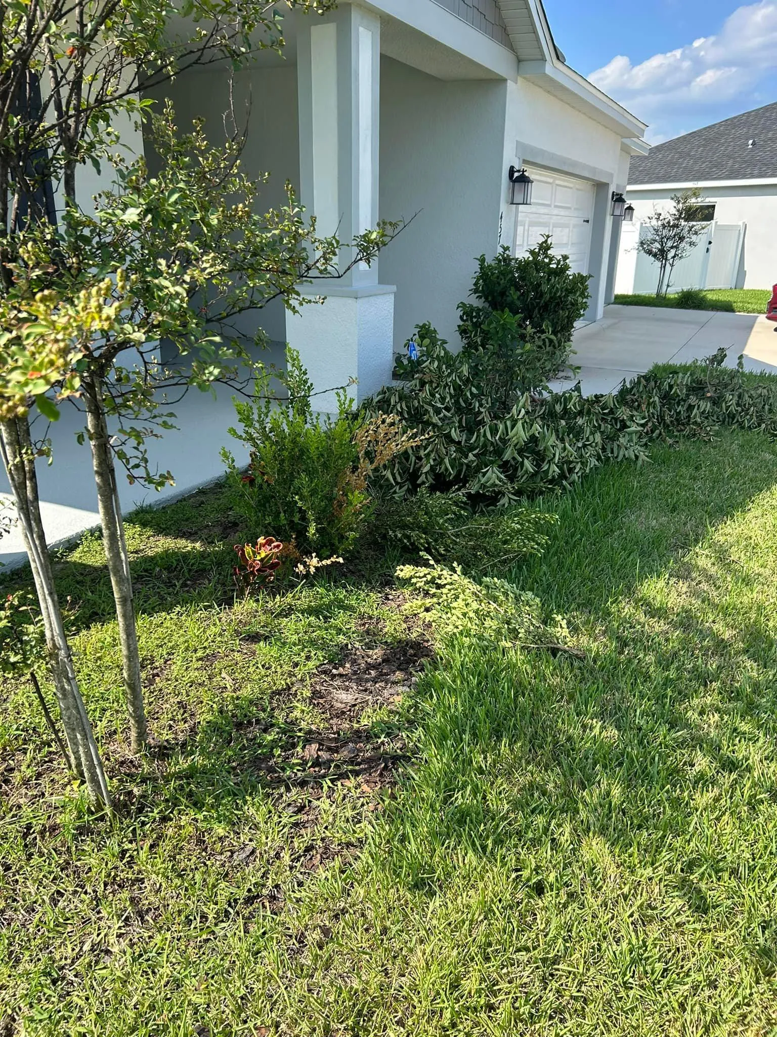 Fall and Spring Clean Up for Estrada All Pro Lawn Service in Auburndale, Florida