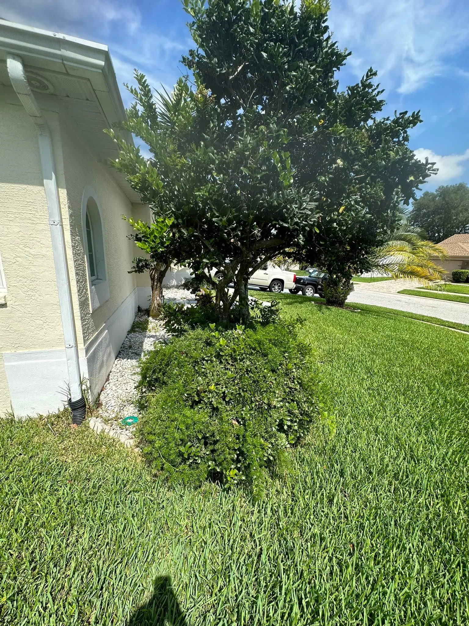 Fall and Spring Clean Up for Kramer & Son’s Property Maintenance in Hudson, FL