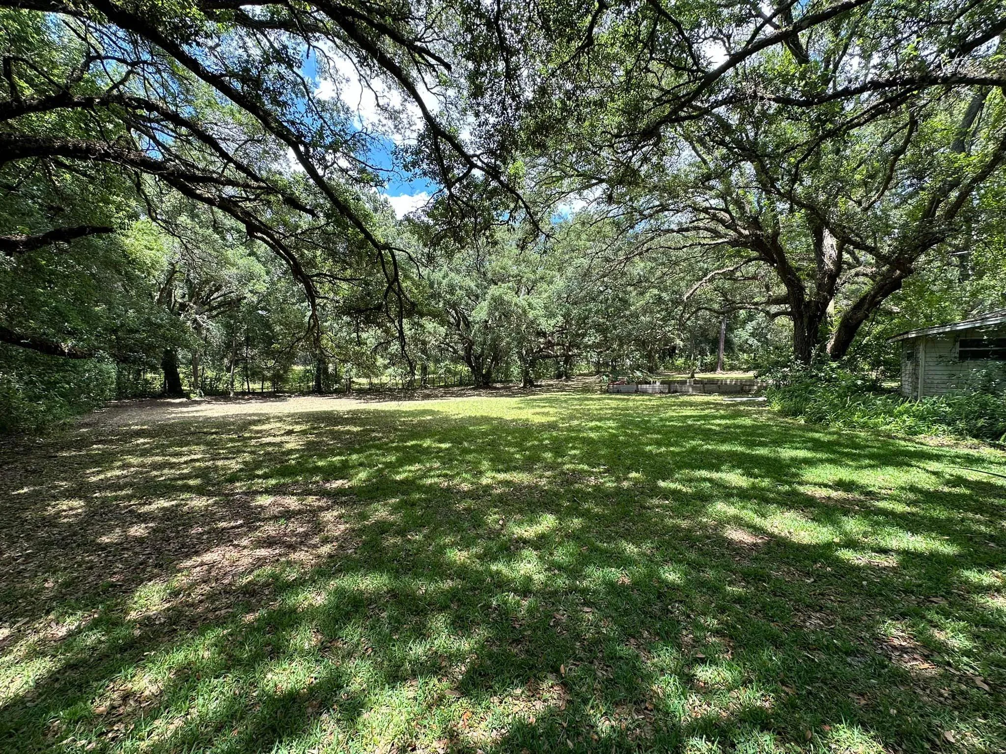 Fall and Spring Clean Up for Kramer & Son’s Property Maintenance in Hudson, FL