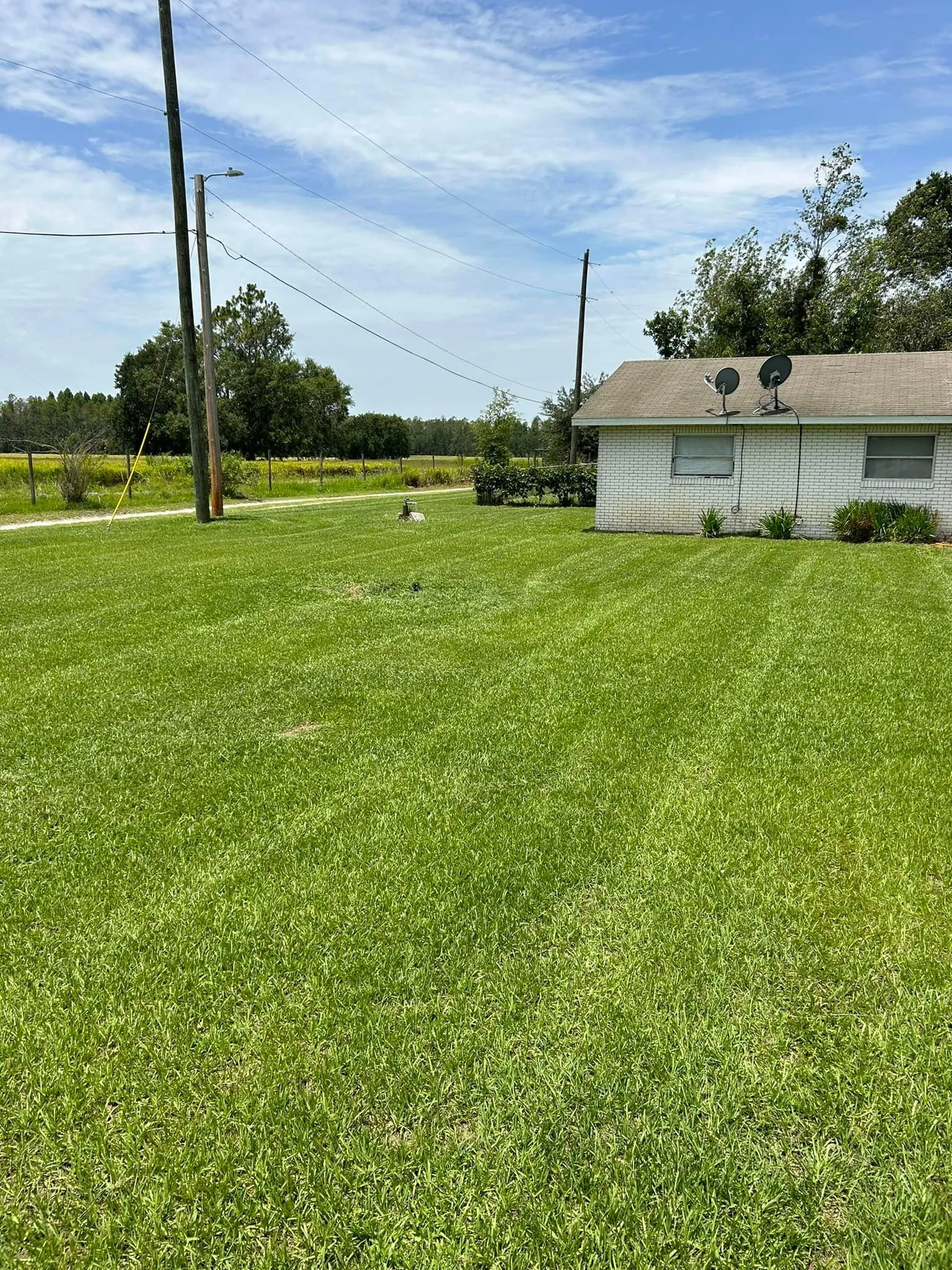 Fall and Spring Clean Up for Estrada All Pro Lawn Service in Auburndale, Florida