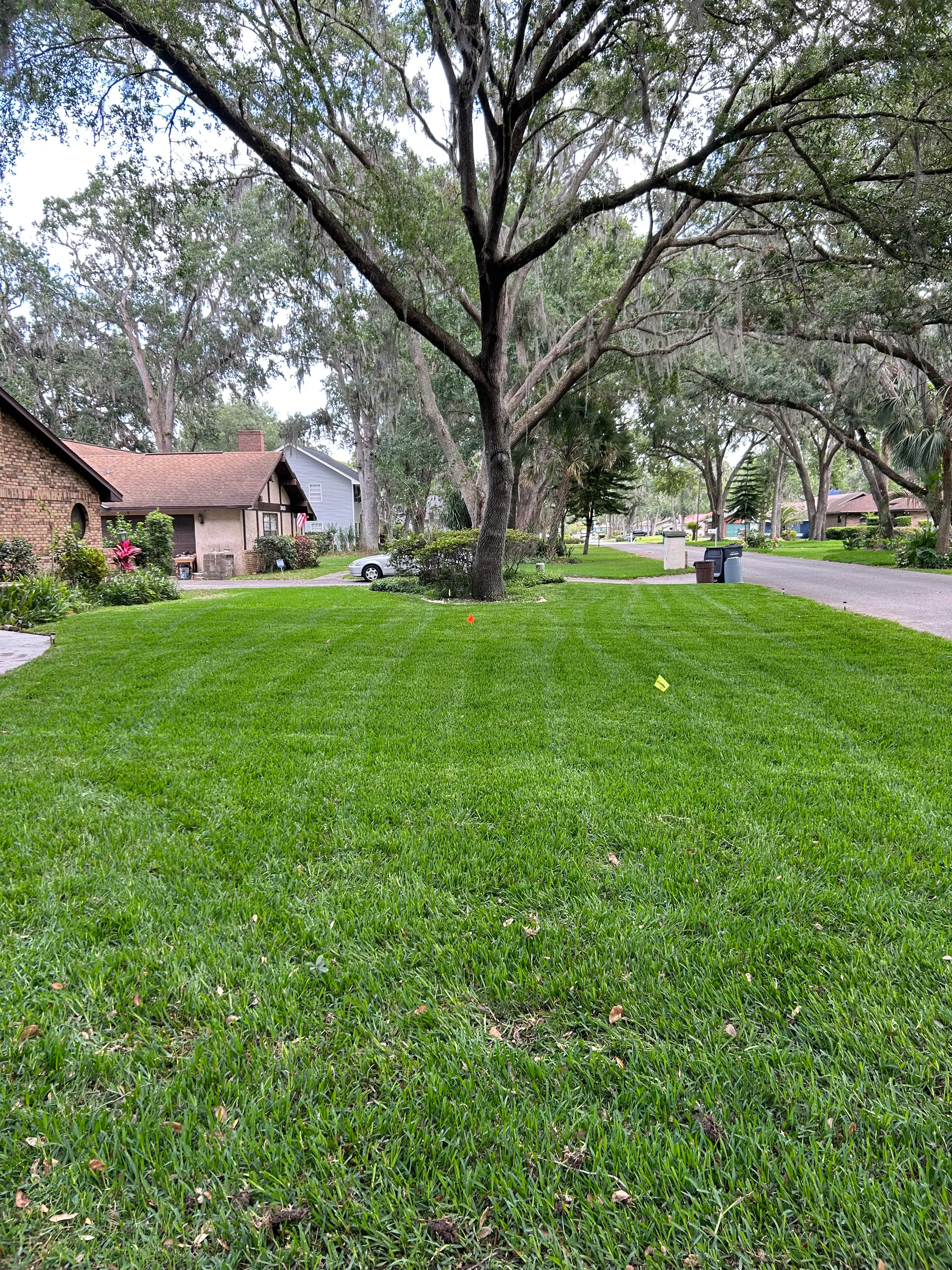 Fall and Spring Clean Up for Estrada All Pro Lawn Service in Auburndale, Florida