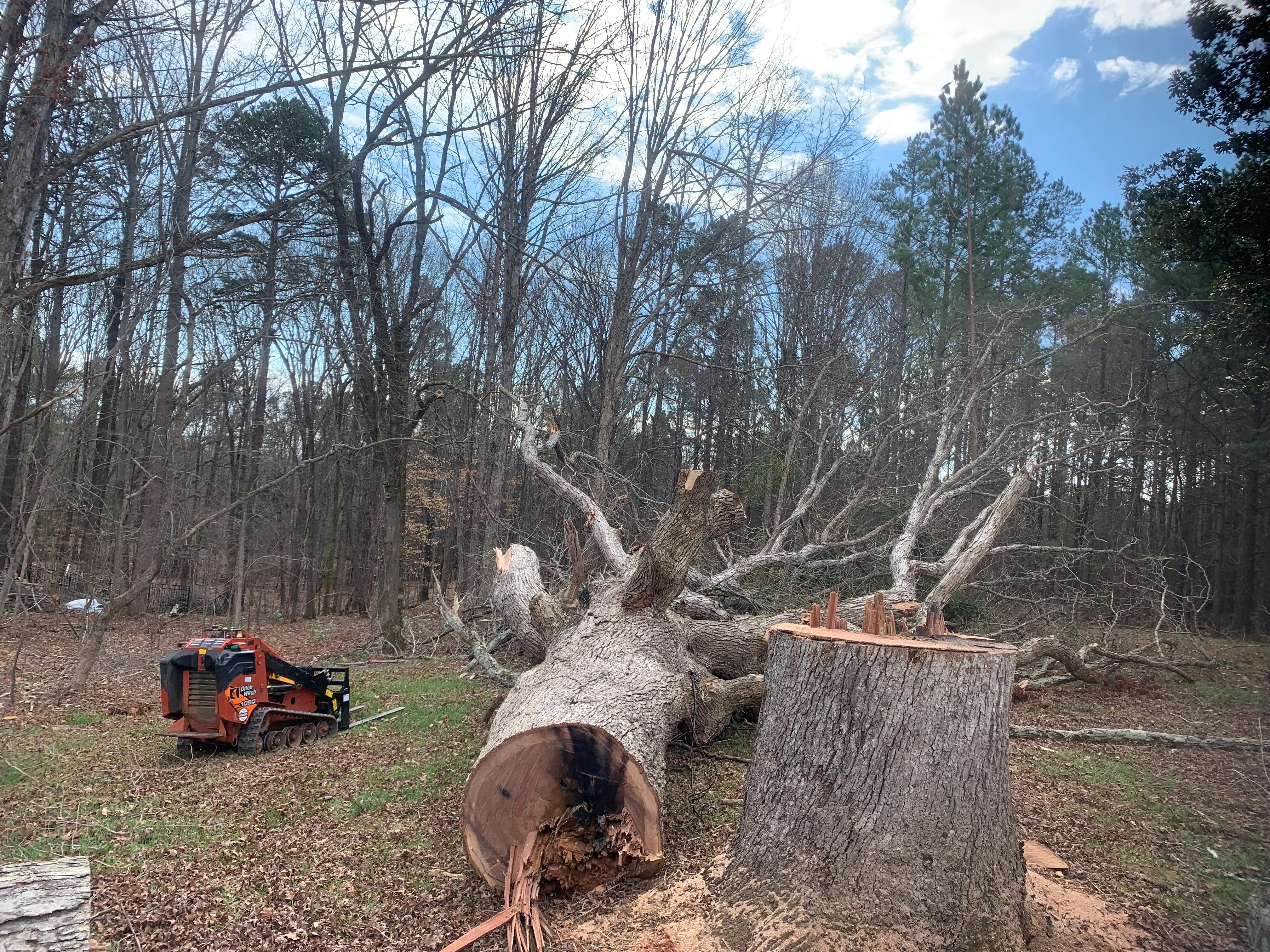 Concrete for Prosper Landscaping Construction in Concord, NC