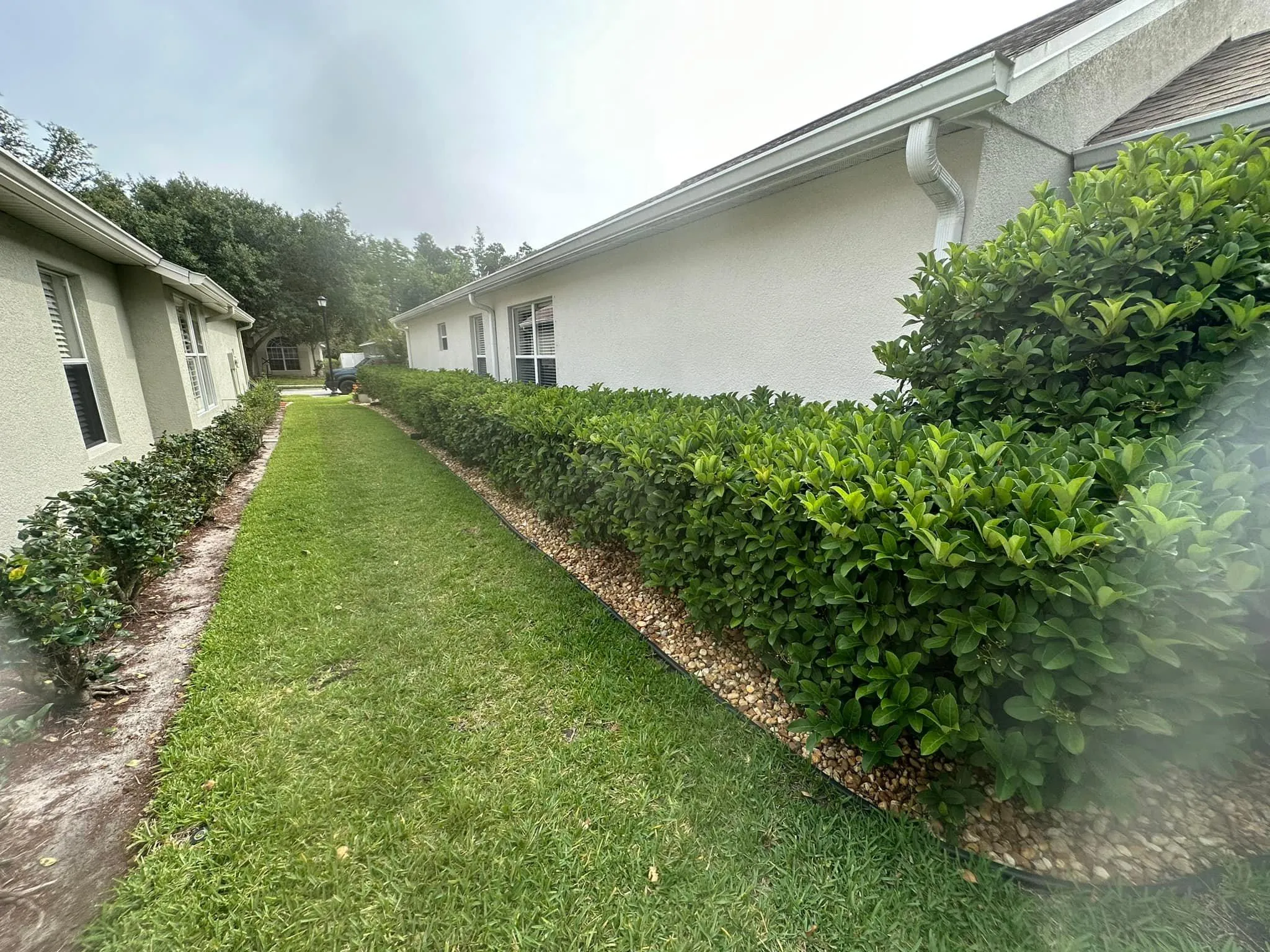 Fall and Spring Clean Up for Kramer & Son’s Property Maintenance in Hudson, FL