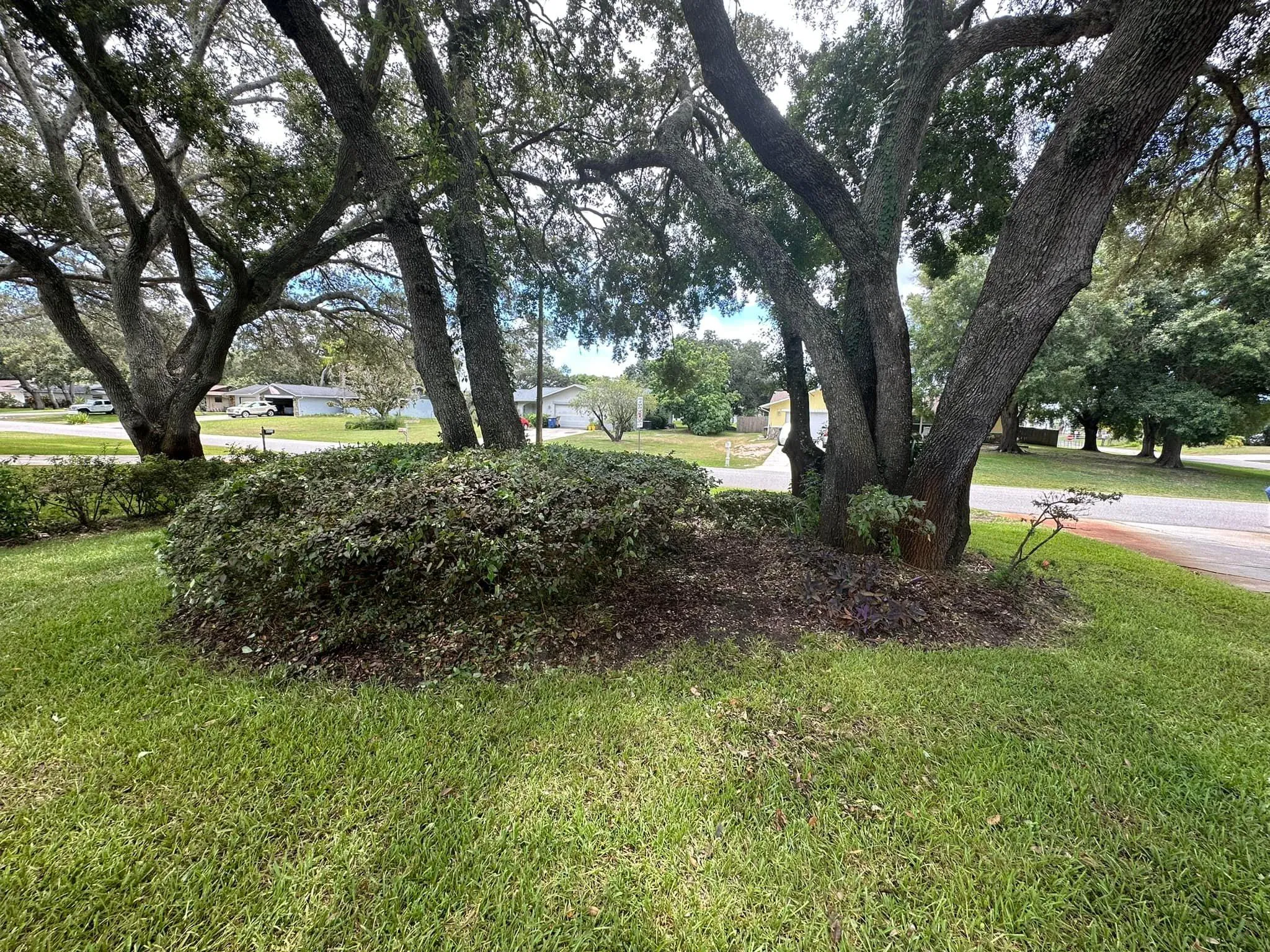 Fall and Spring Clean Up for Kramer & Son’s Property Maintenance in Hudson, FL