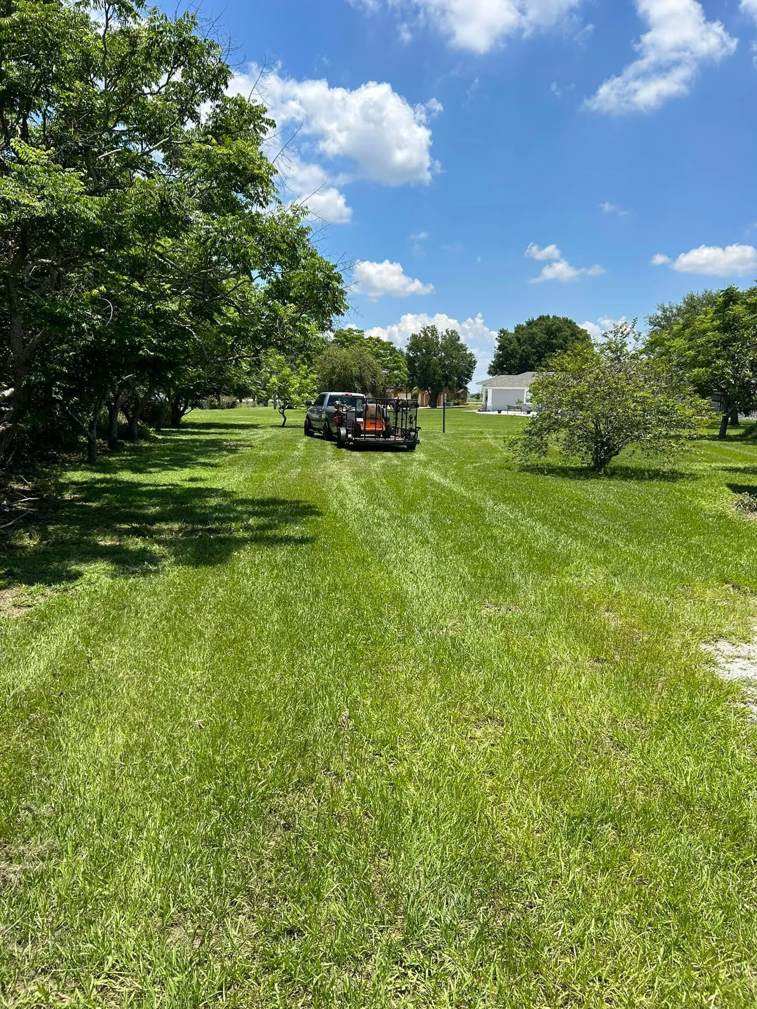 Fall and Spring Clean Up for Estrada All Pro Lawn Service in Auburndale, Florida