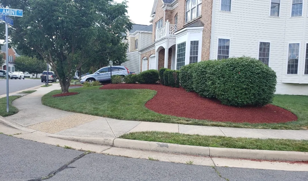 Tree Removal for Mario's Tree Service in Richmond, VA