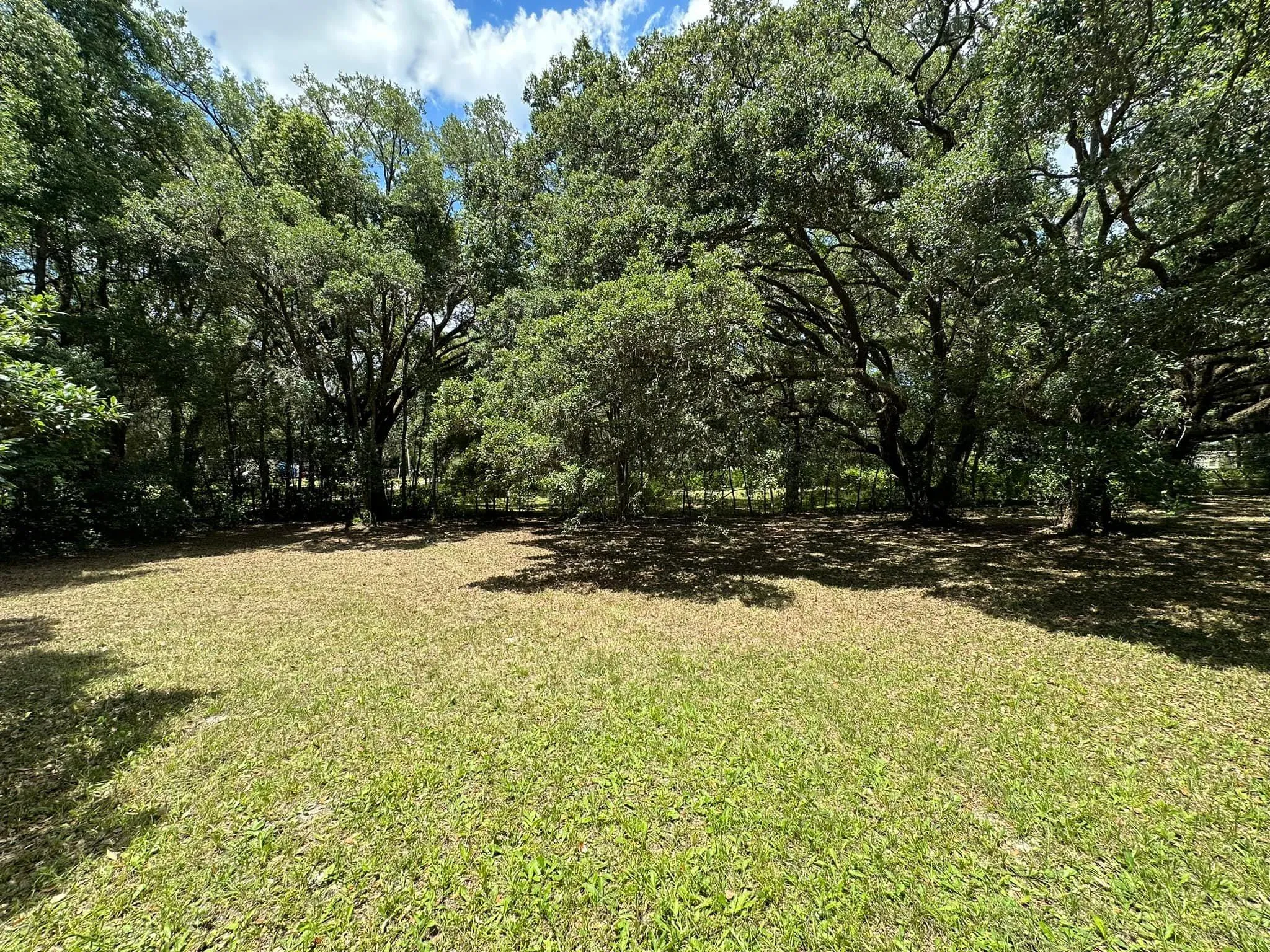 Fall and Spring Clean Up for Kramer & Son’s Property Maintenance in Hudson, FL