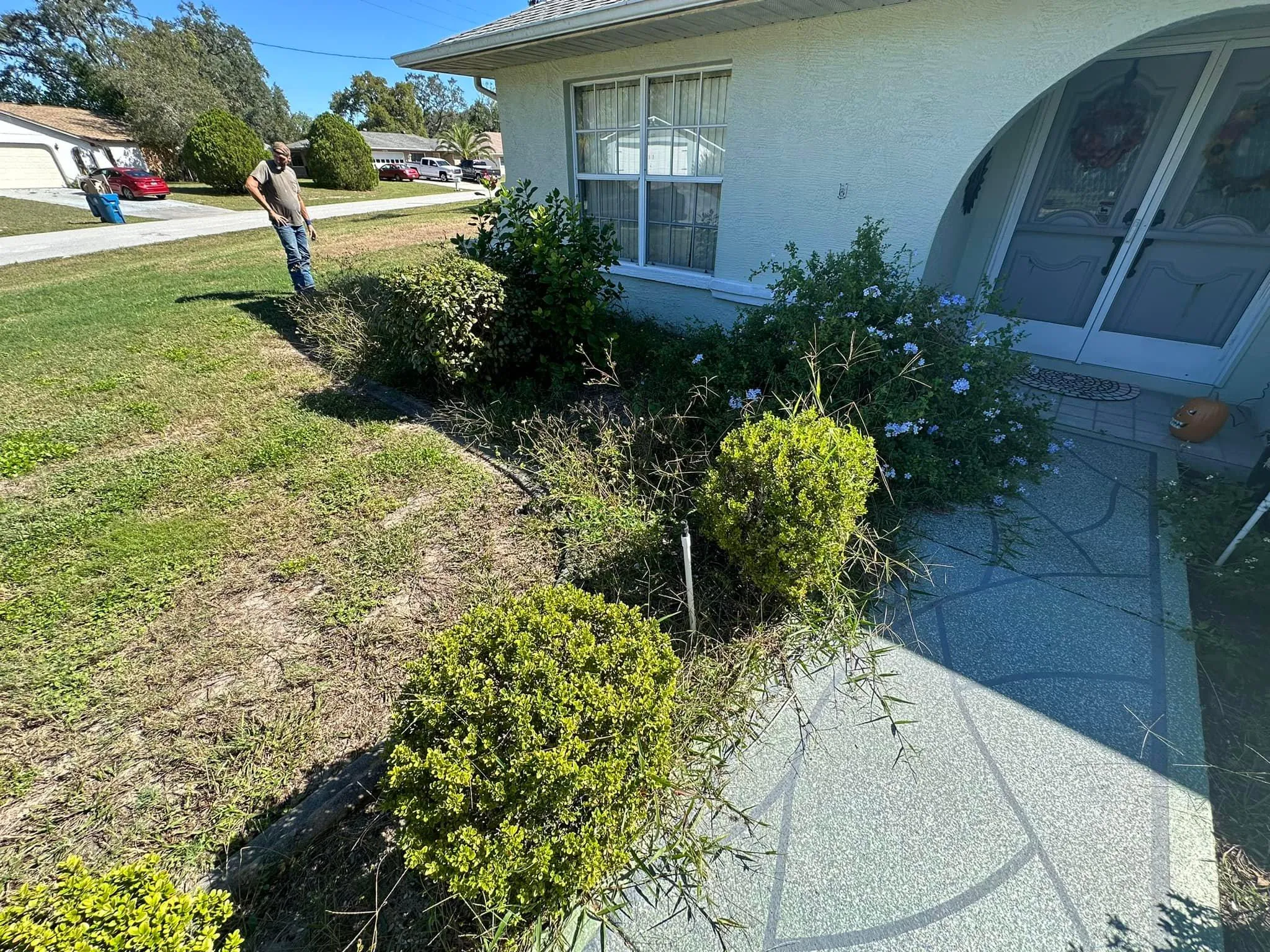 Fall and Spring Clean Up for Kramer & Son’s Property Maintenance in Hudson, FL