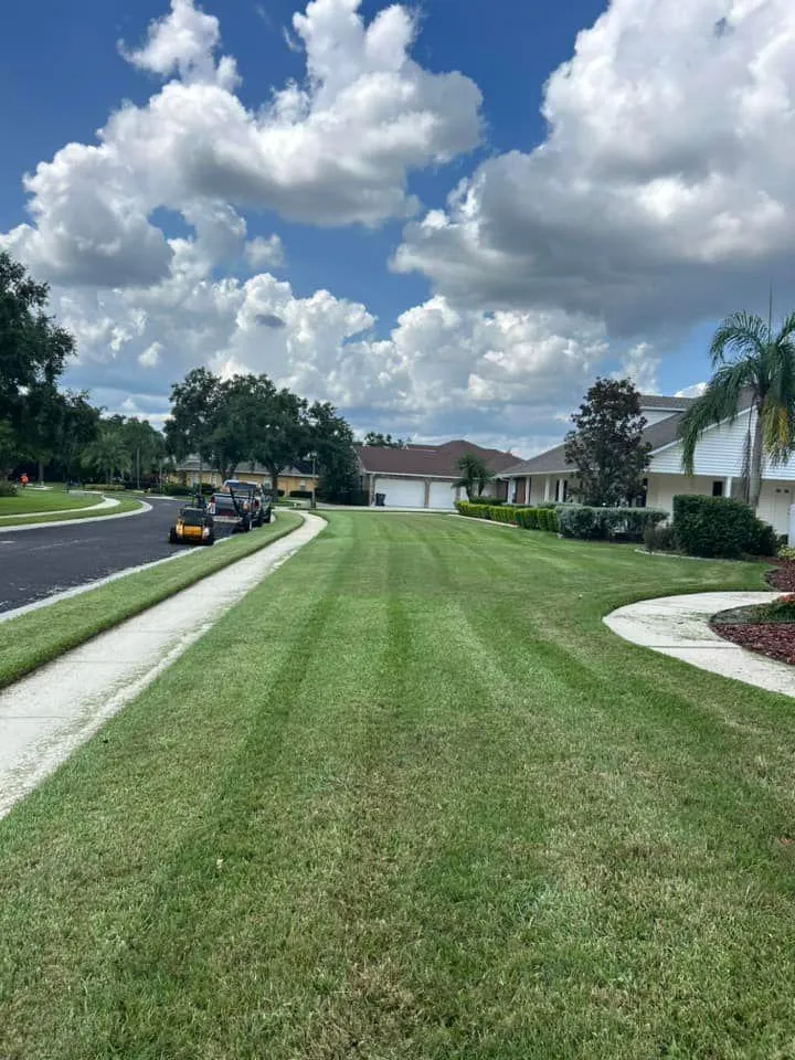 Fall and Spring Clean Up for Estrada All Pro Lawn Service in Auburndale, Florida