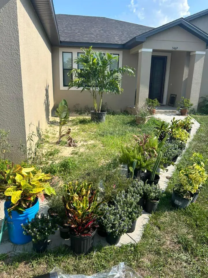 Fall and Spring Clean Up for Estrada All Pro Lawn Service in Auburndale, Florida