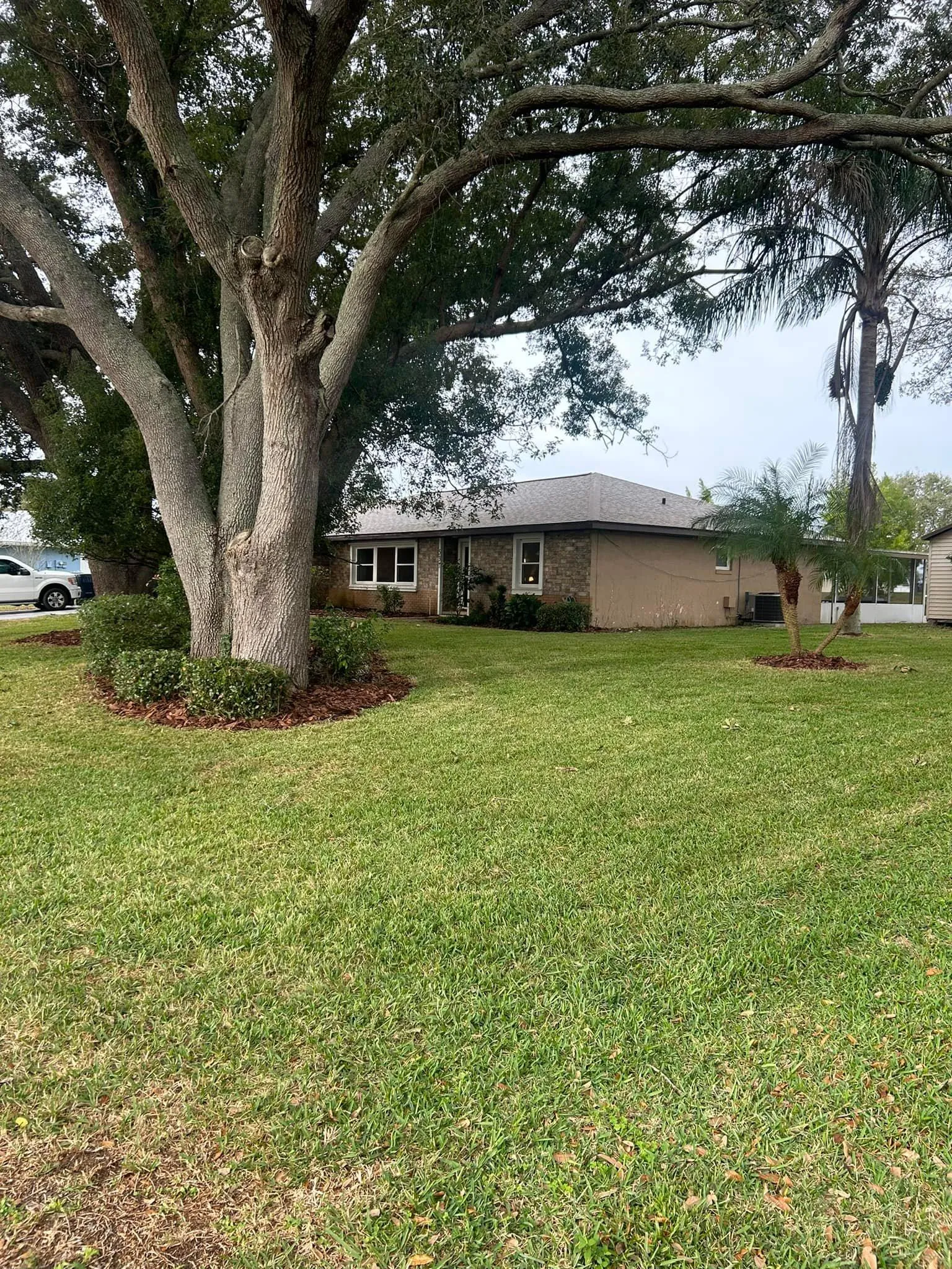 Fall and Spring Clean Up for Estrada All Pro Lawn Service in Auburndale, Florida