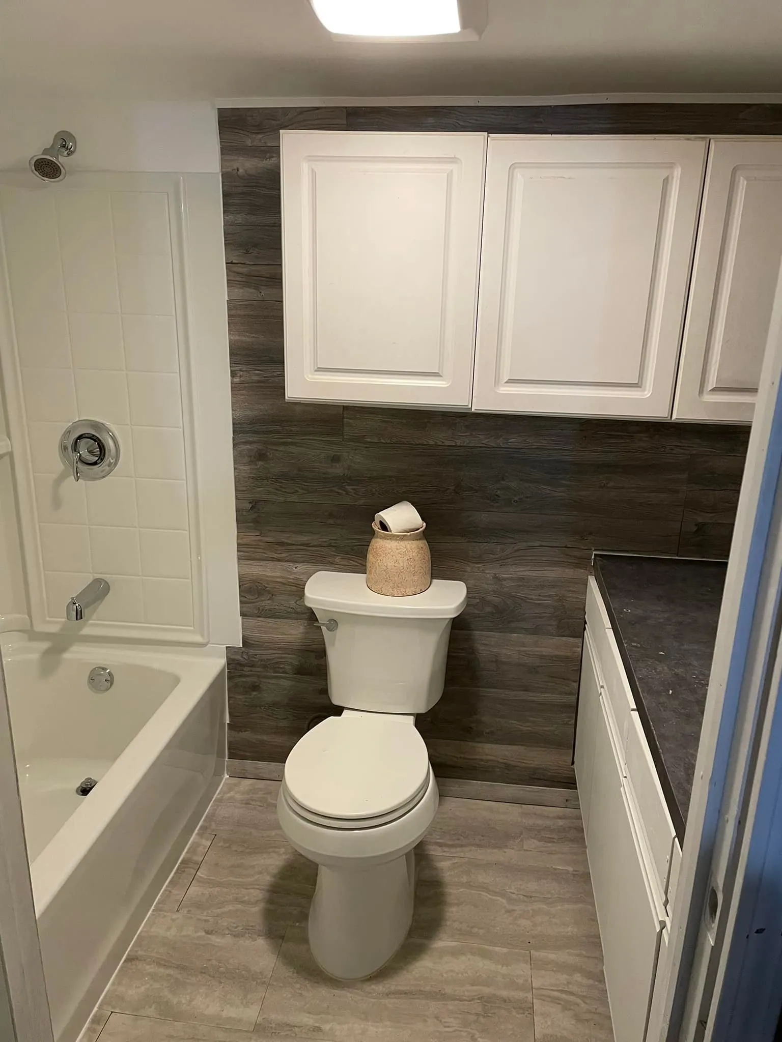 Bathroom Renovation for Next Generation Enterprises in Oswego, IL