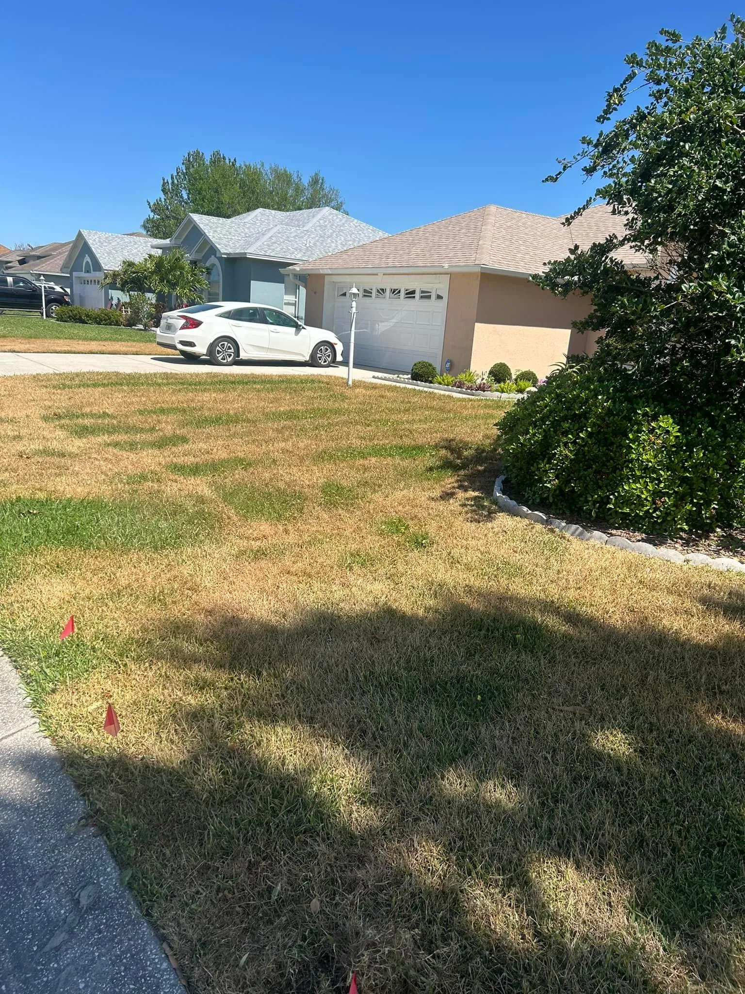 Fall and Spring Clean Up for Estrada All Pro Lawn Service in Auburndale, Florida