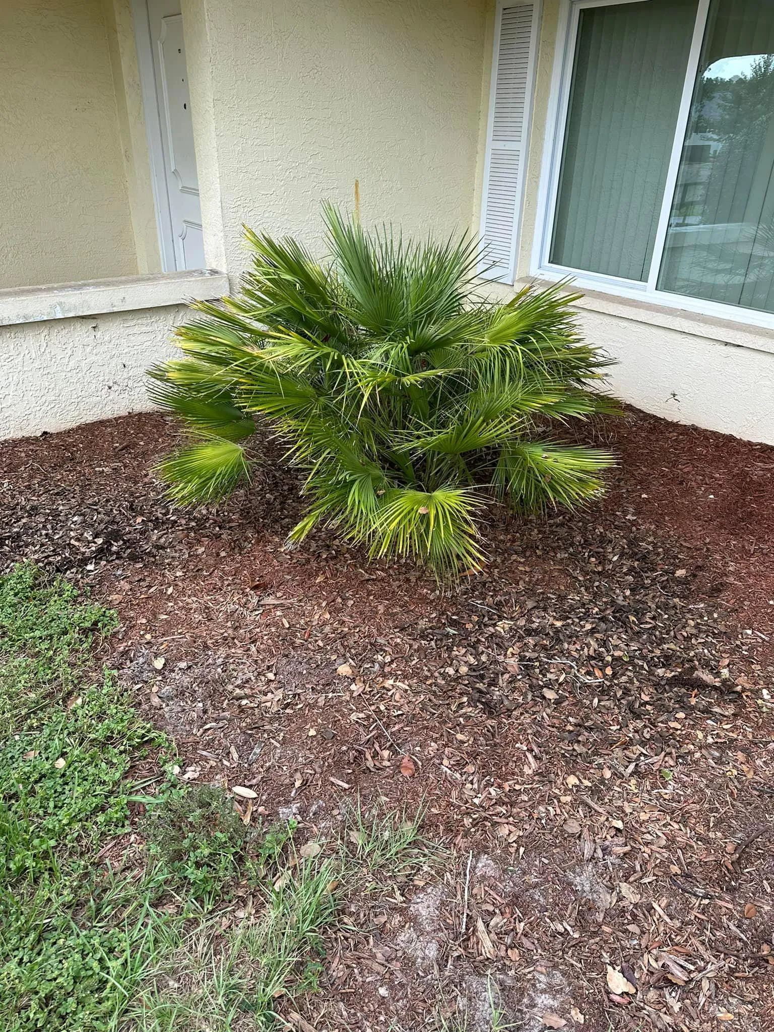 Fall and Spring Clean Up for Kramer & Son’s Property Maintenance in Hudson, FL