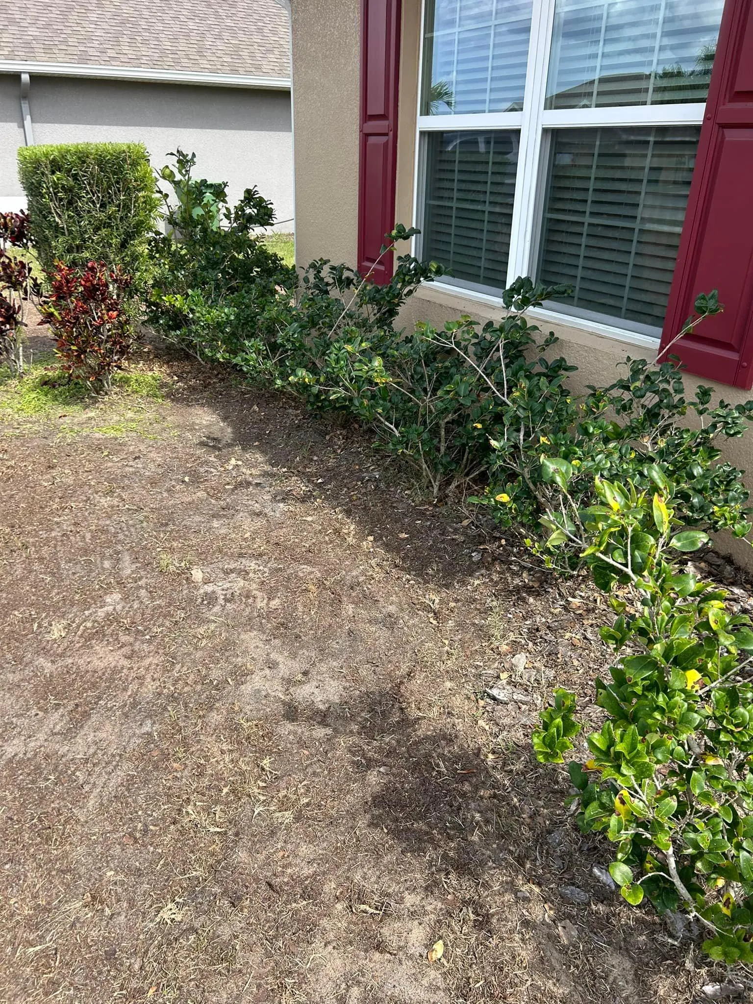 Fall and Spring Clean Up for Estrada All Pro Lawn Service in Auburndale, Florida