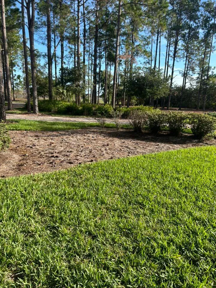 Fall and Spring Clean Up for Estrada All Pro Lawn Service in Auburndale, Florida