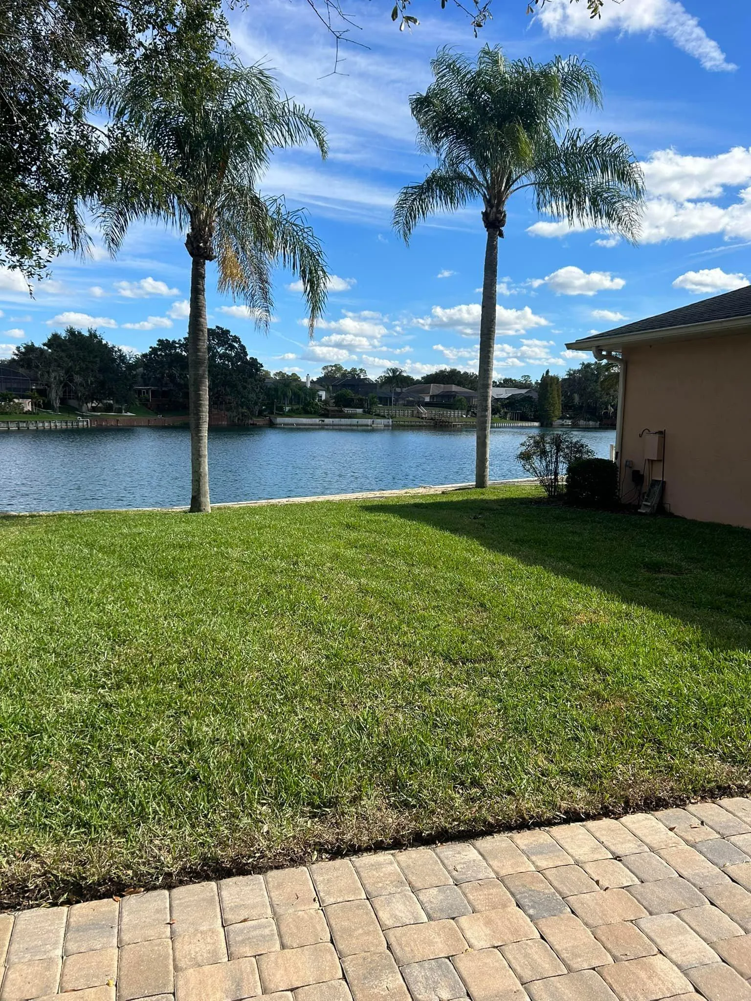 Fall and Spring Clean Up for Estrada All Pro Lawn Service in Auburndale, Florida