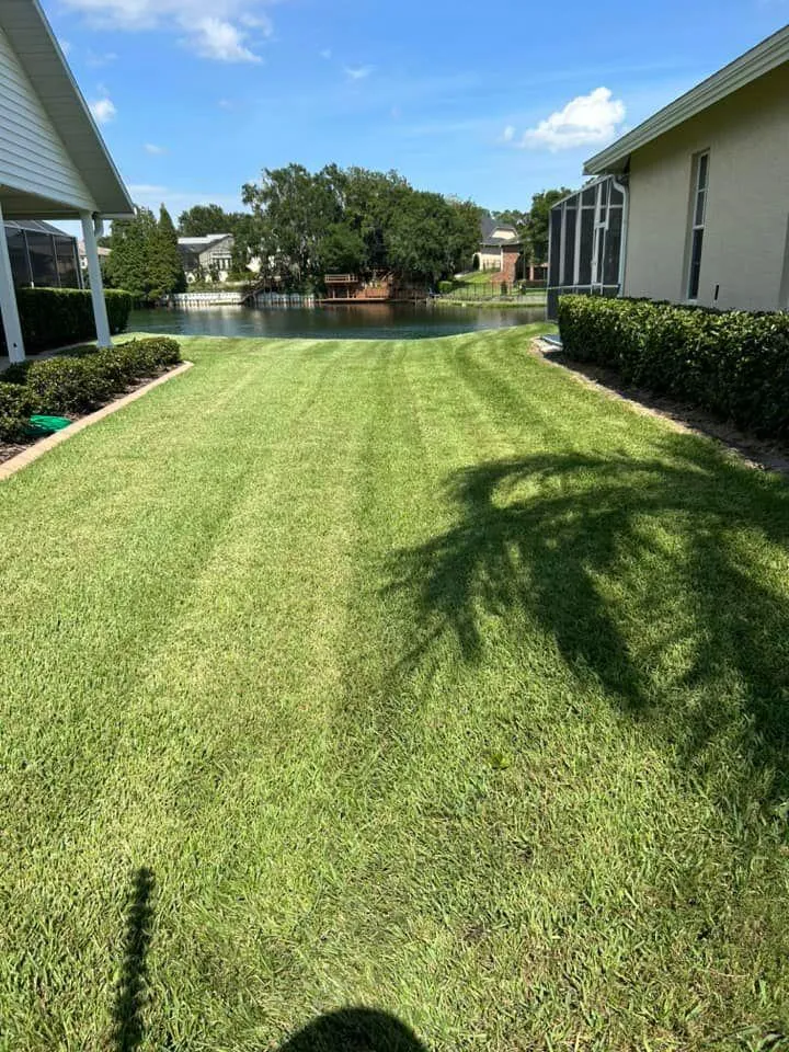 Fall and Spring Clean Up for Estrada All Pro Lawn Service in Auburndale, Florida