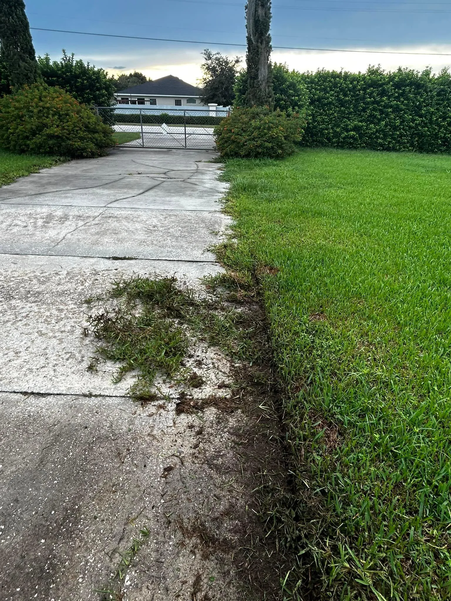 Fall and Spring Clean Up for Estrada All Pro Lawn Service in Auburndale, Florida