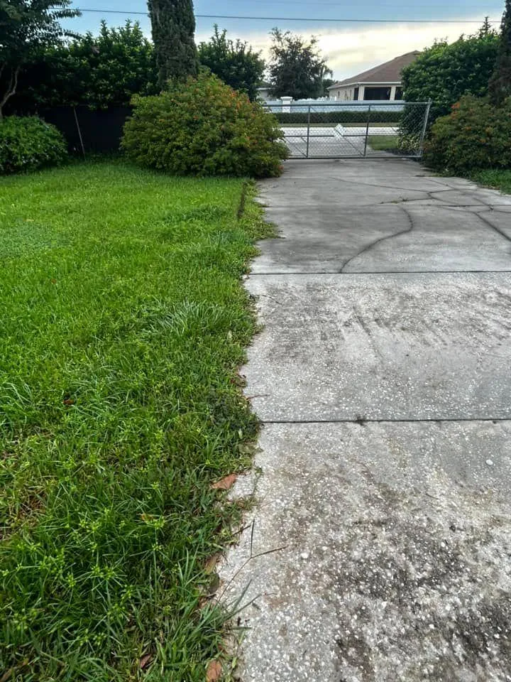 Fall and Spring Clean Up for Estrada All Pro Lawn Service in Auburndale, Florida