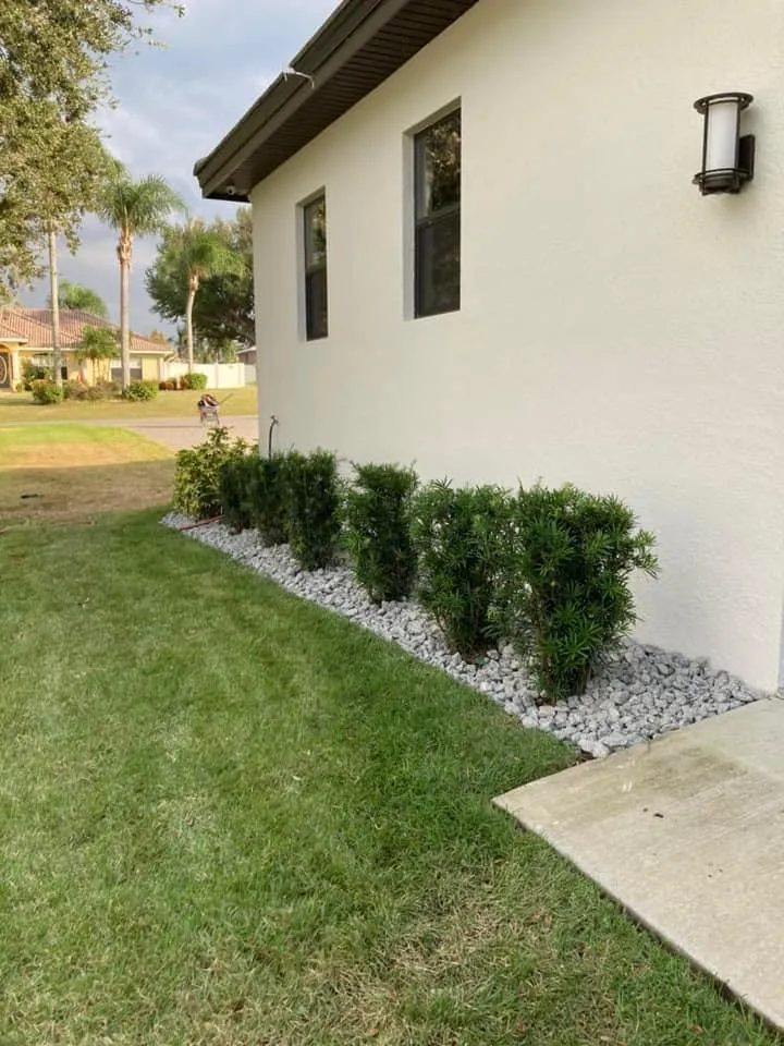 Fall and Spring Clean Up for Estrada All Pro Lawn Service in Auburndale, Florida