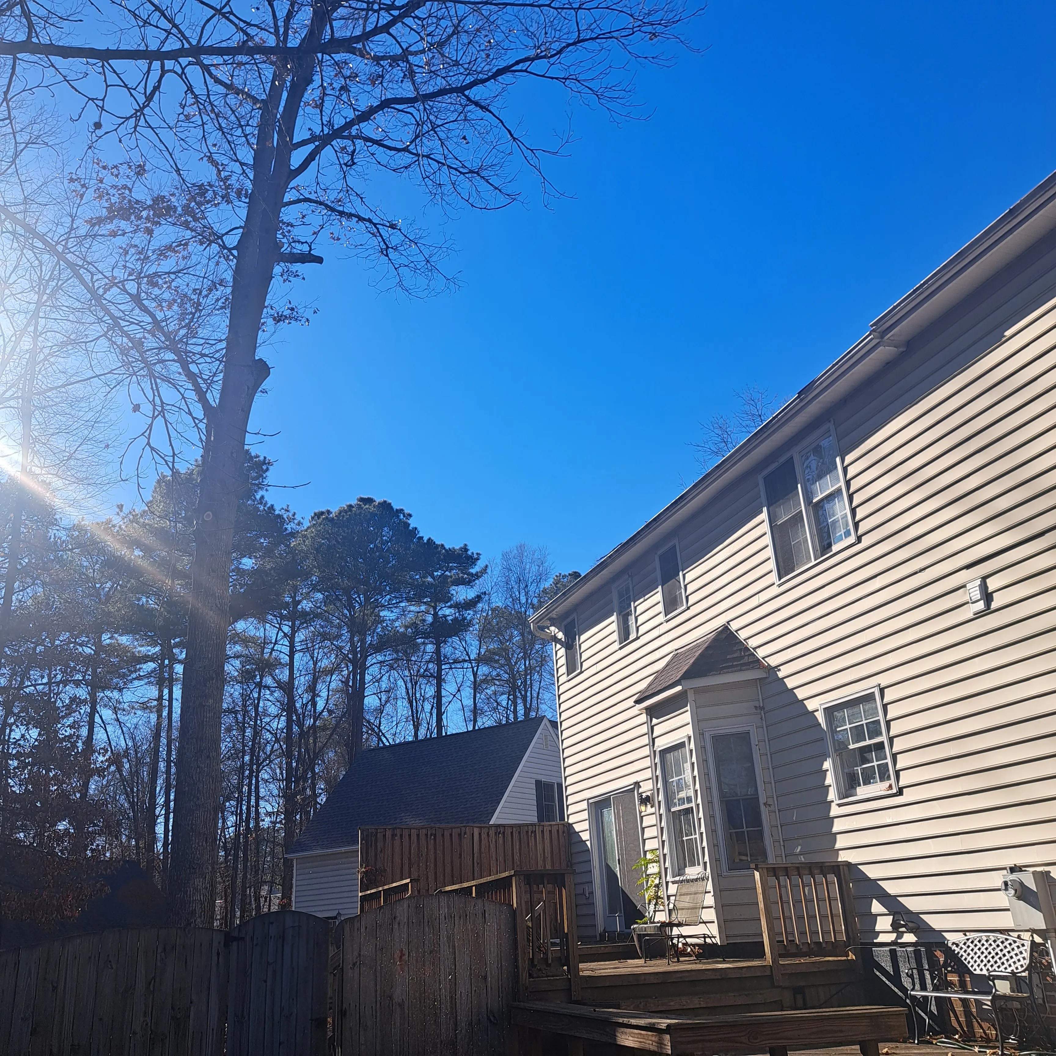 Tree Removal for Mario's Tree Service in Richmond, VA