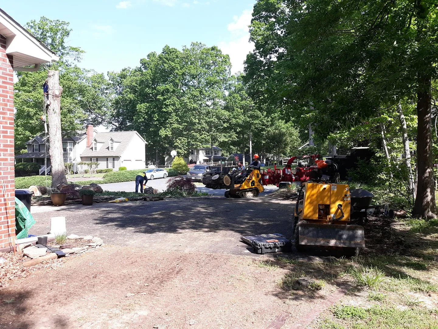 Tree Removal for Mario's Tree Service in Richmond, VA